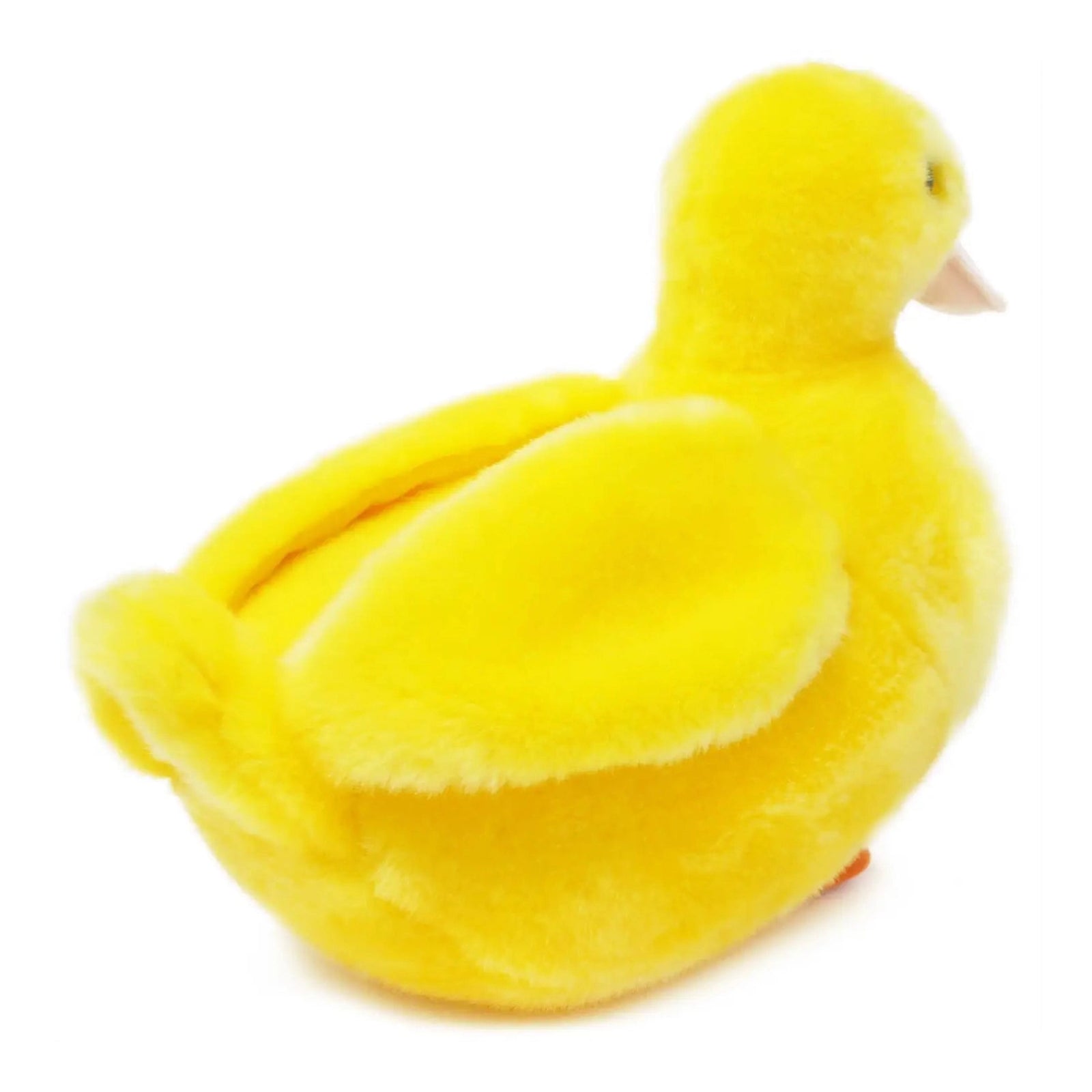 Dani the Duckling
