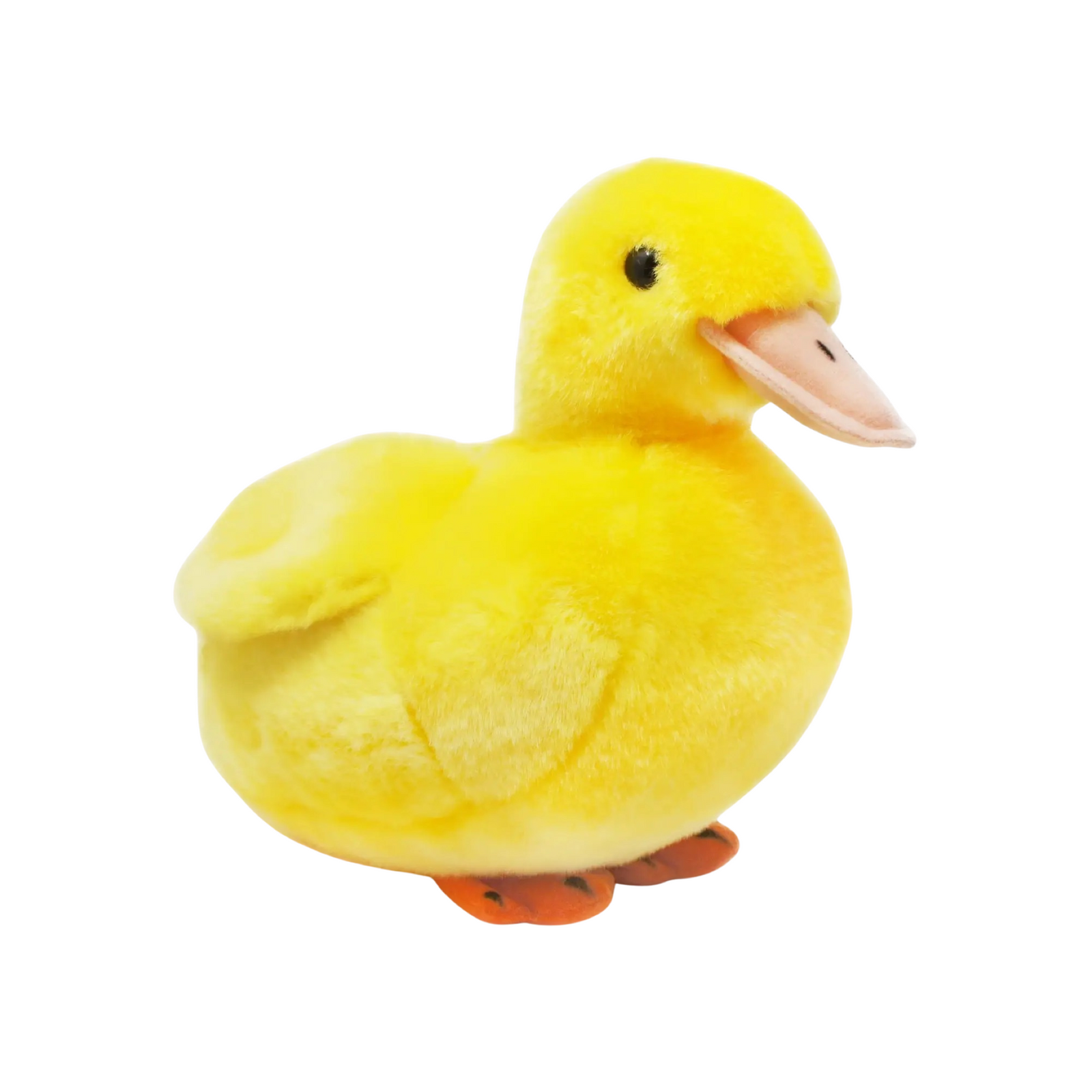 Dani the Duckling