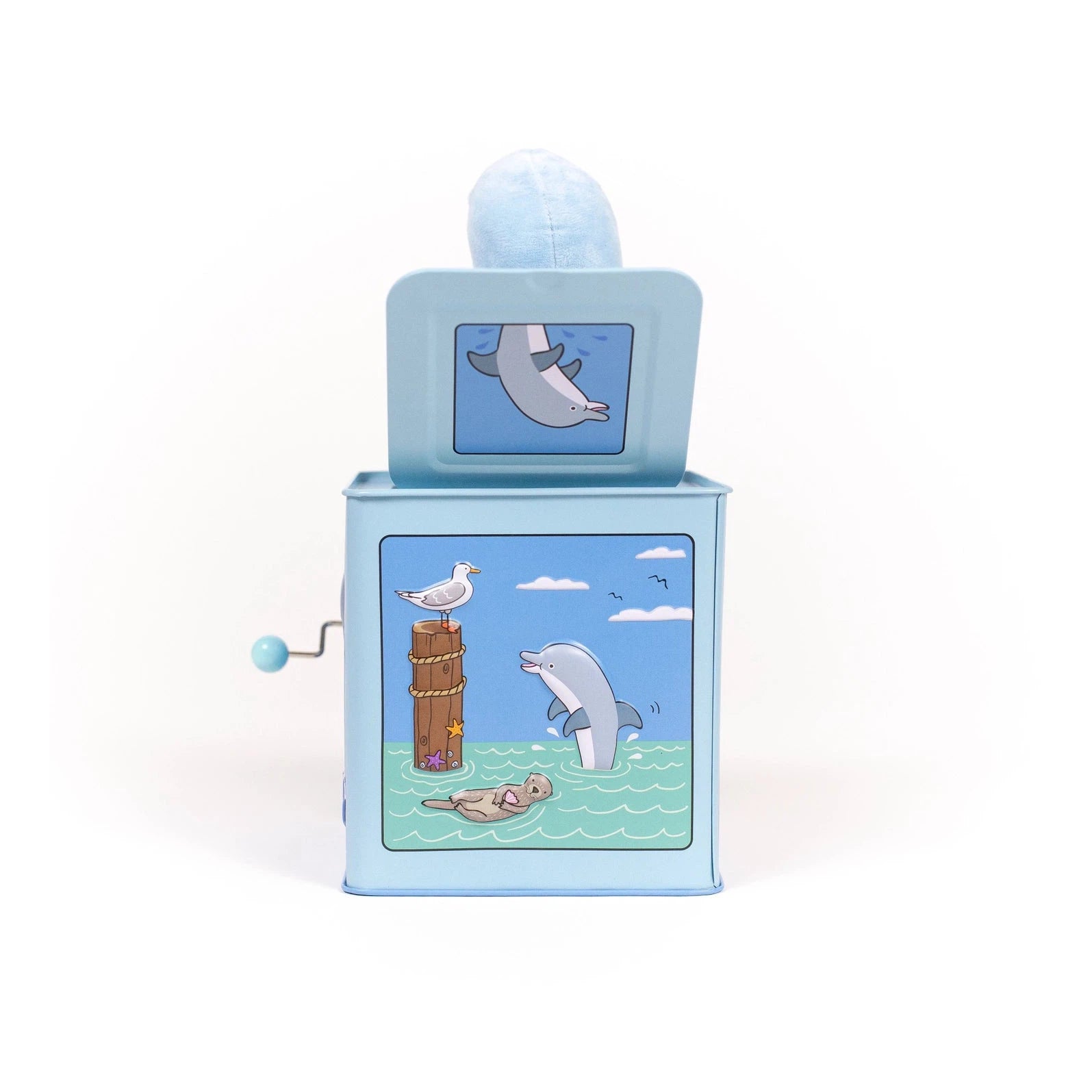 Dolphin Musical Jack-In-The-Box
