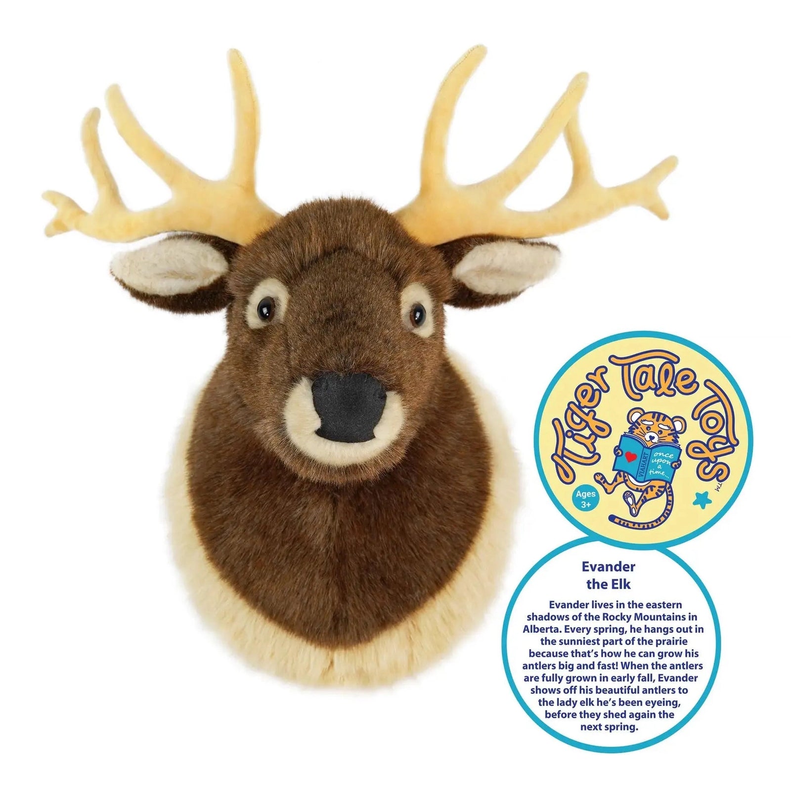 Evander The Elk Head