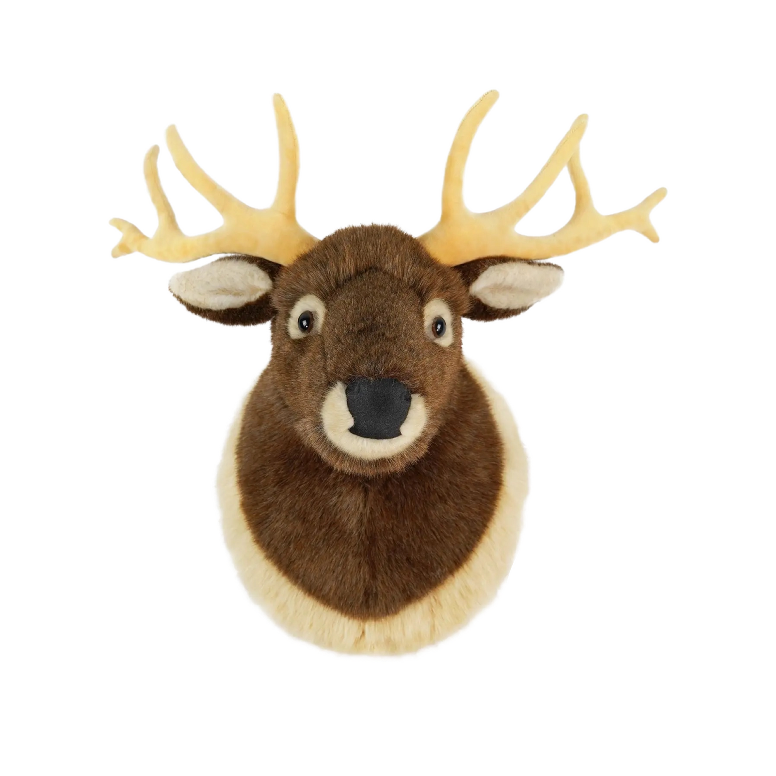 Evander The Elk Head