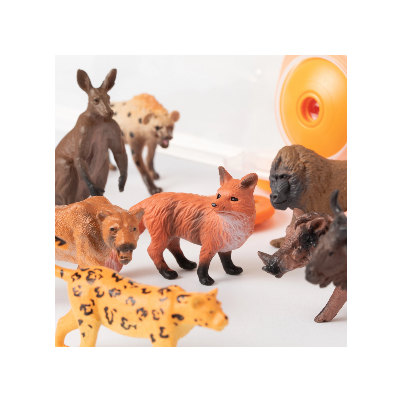 Animal Tube Projector