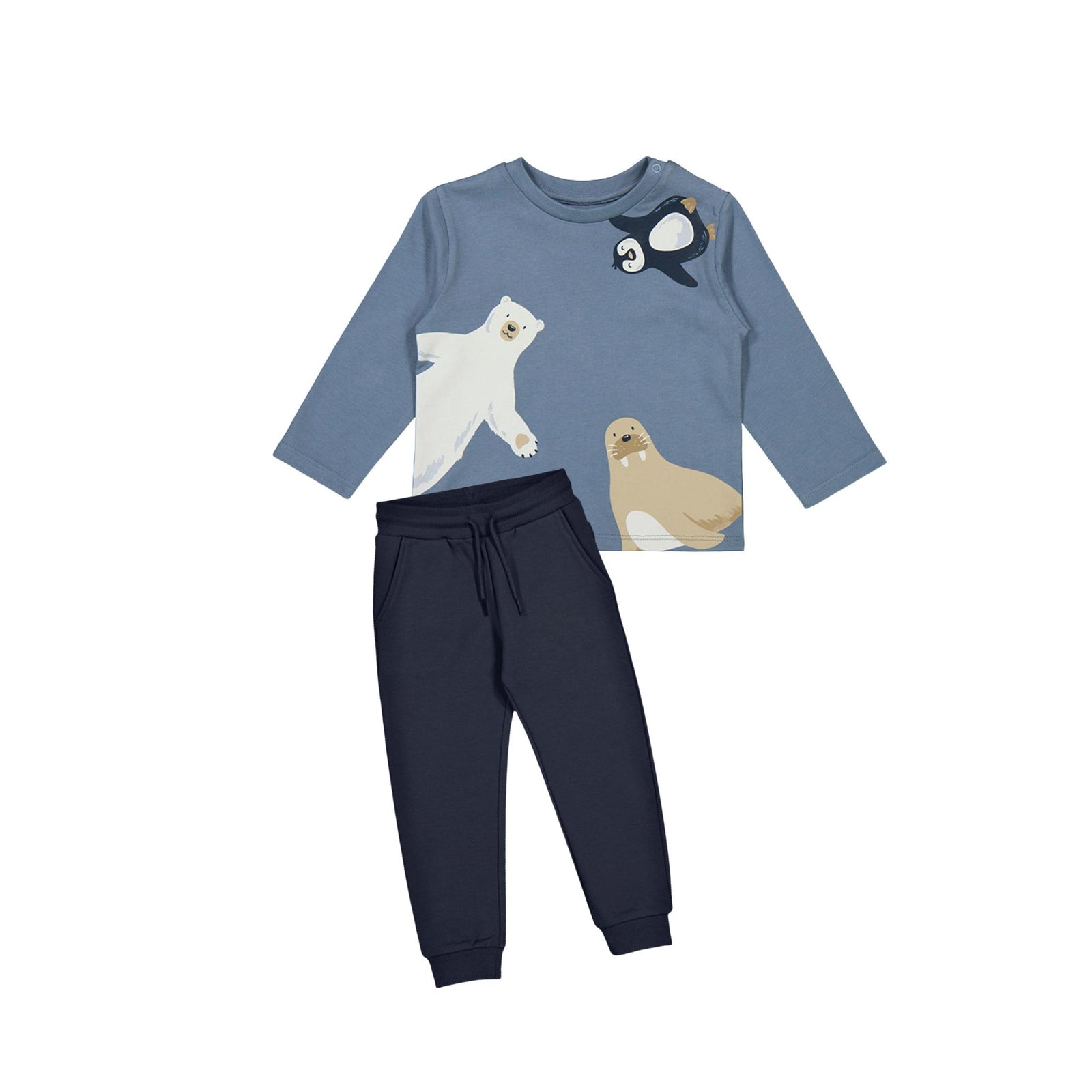 Arctic Animals Long Sleeve Shirt