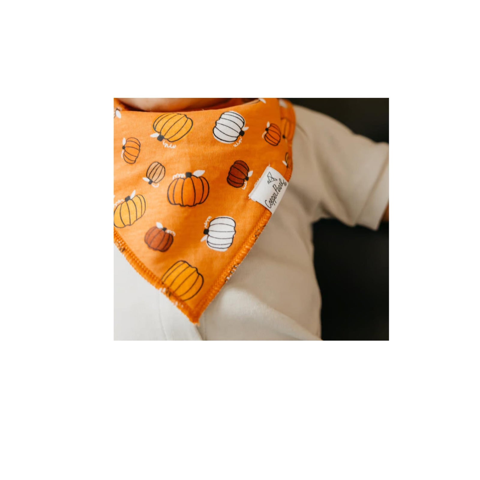 Bones Bandana Bib Collection