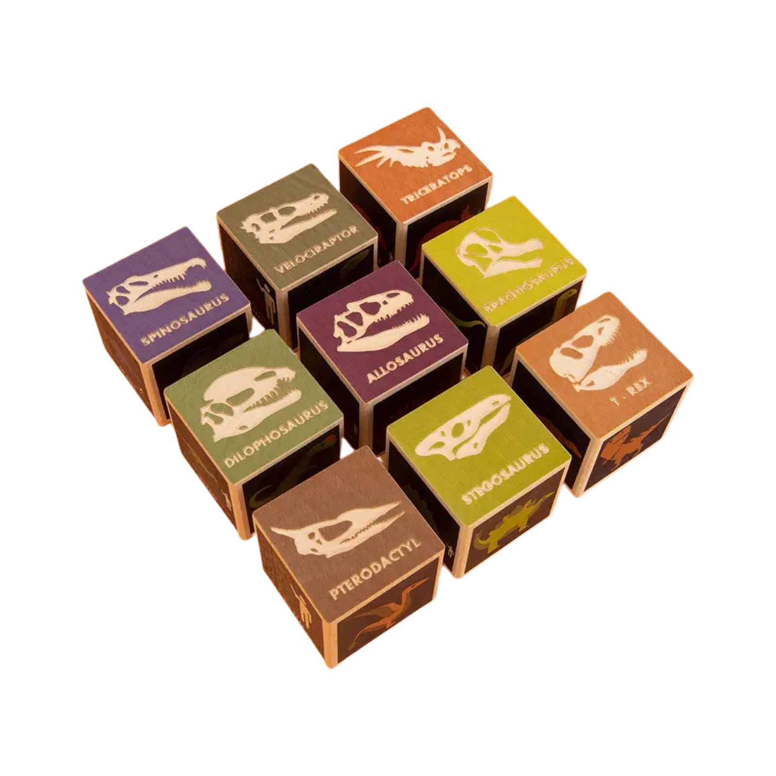 Dinosaur Wooden Blocks