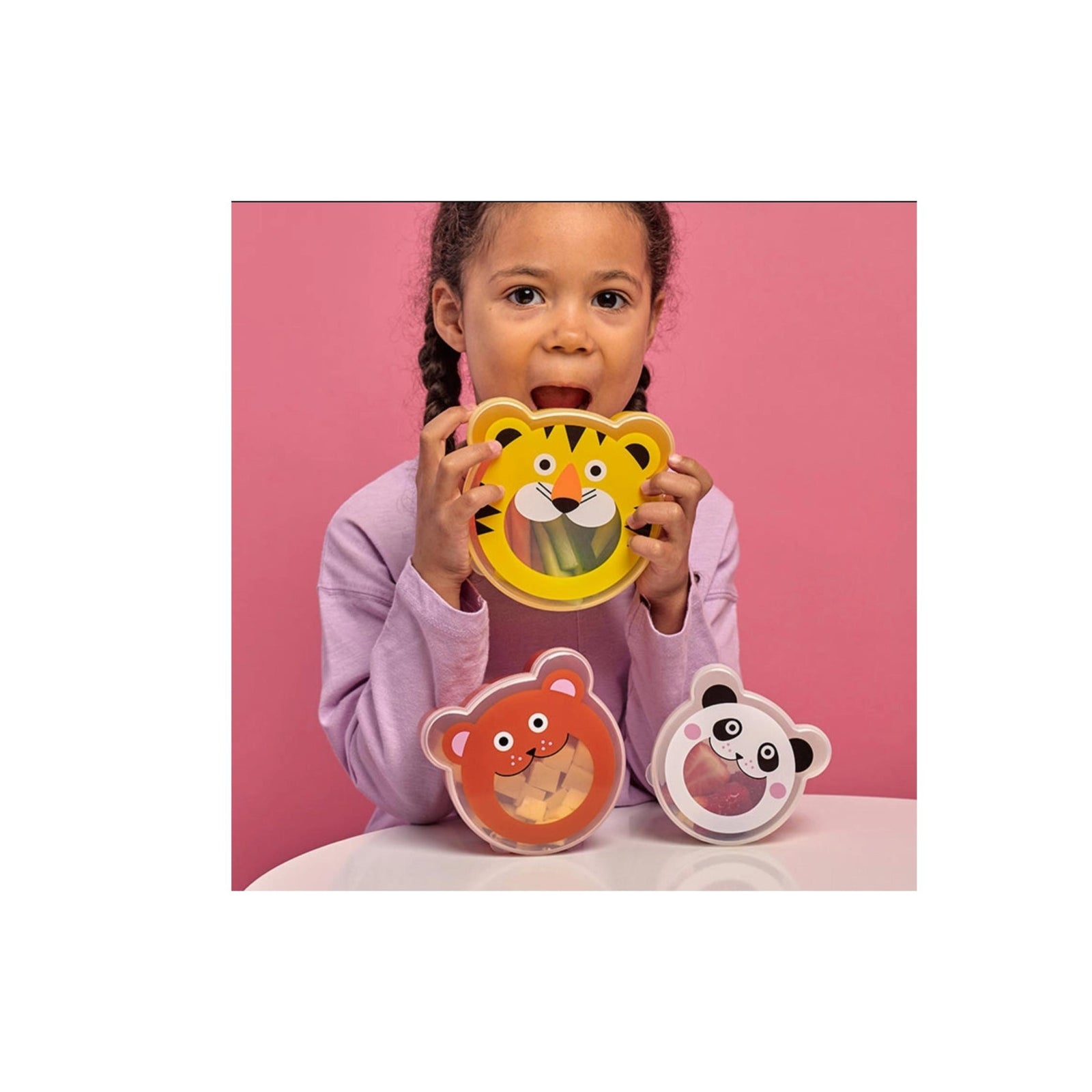 Animal Snack Boxes