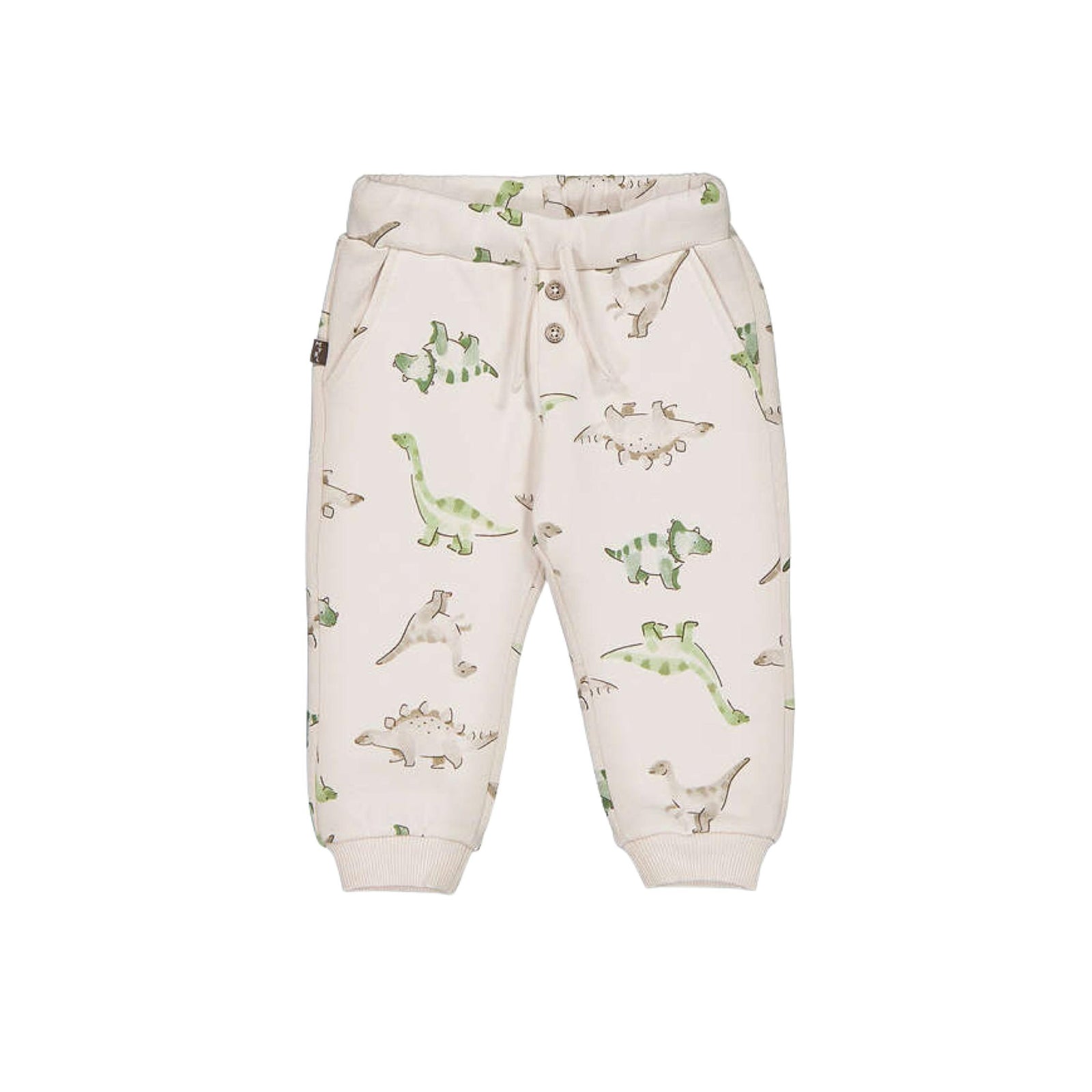 Dinosaur Print Sweatpants