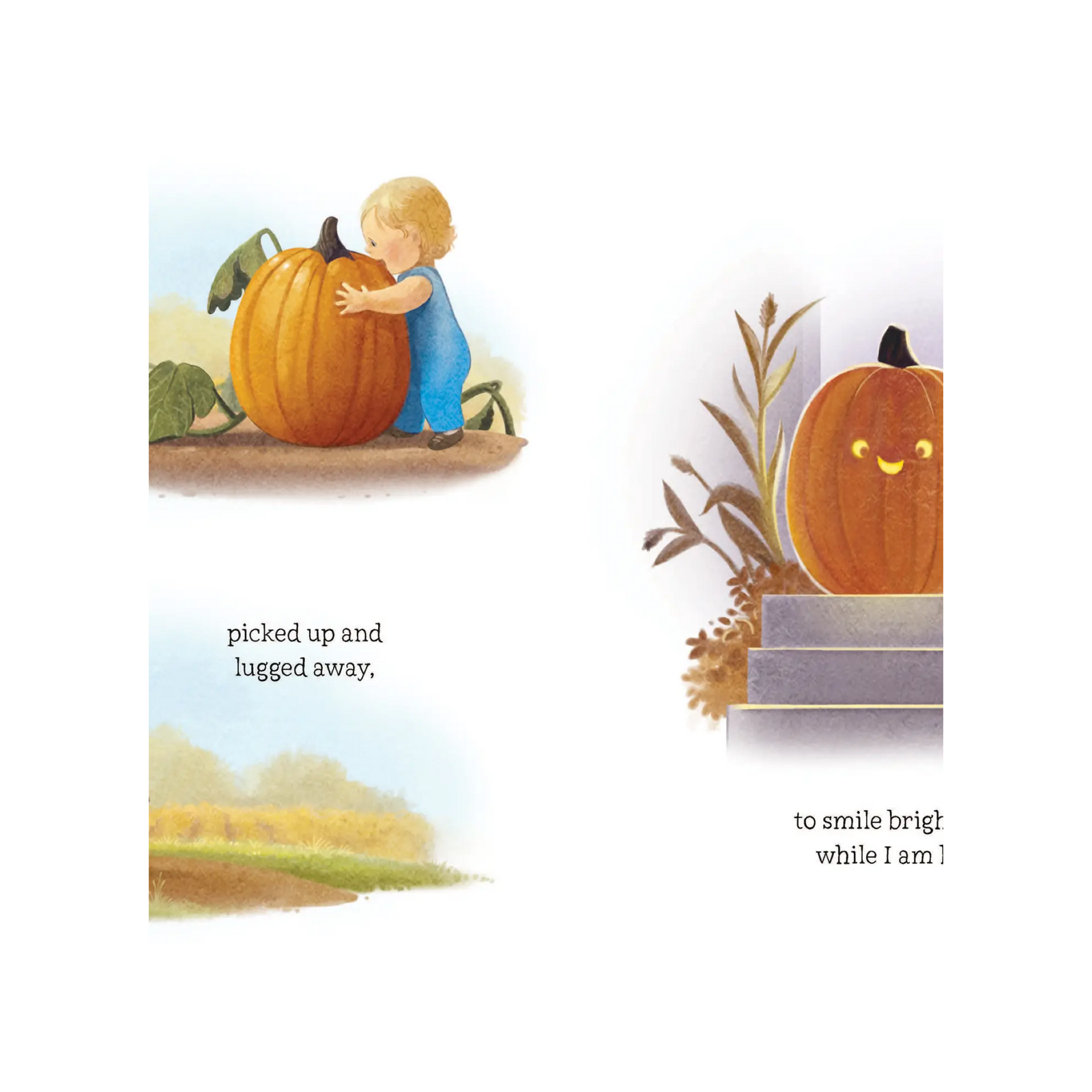 Lumpy Bumkin Pumpkin