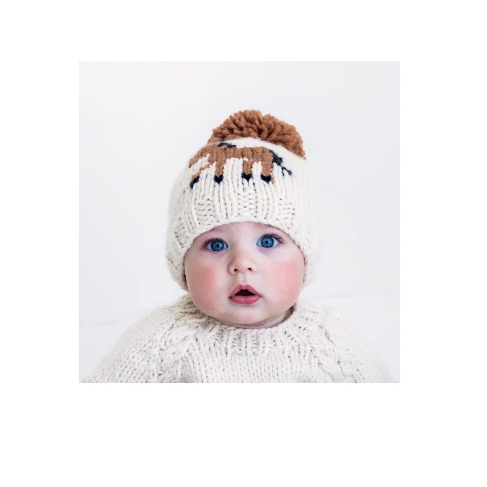 Pony Pom Hand Knit Hat