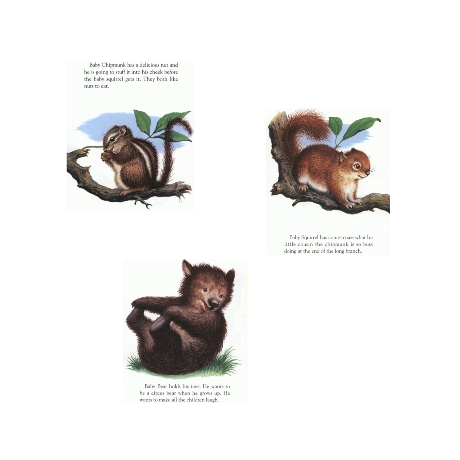 Baby Animals Little Golden Book