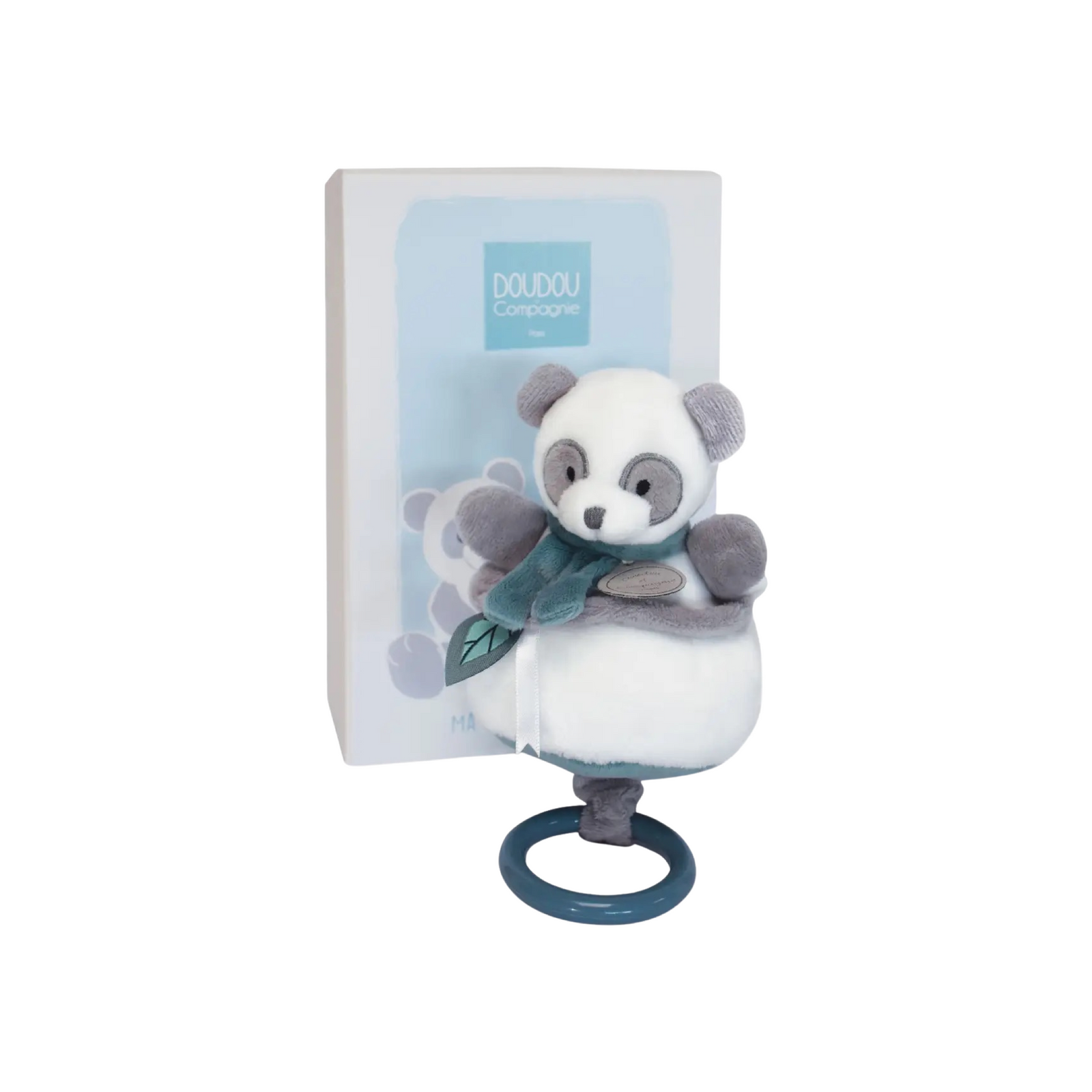 Musical Pull Toy