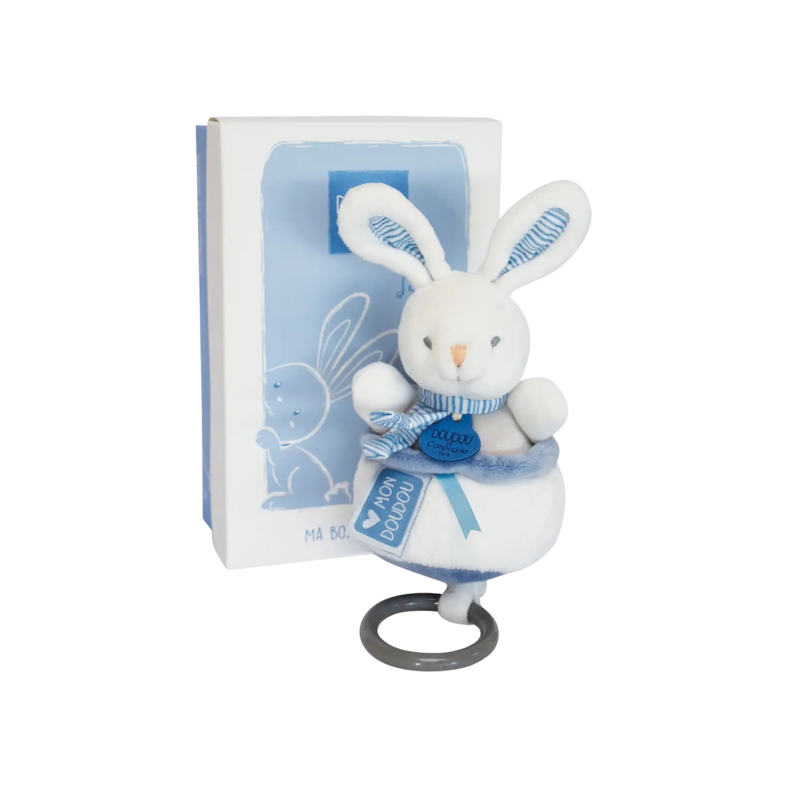 Musical Pull Toy
