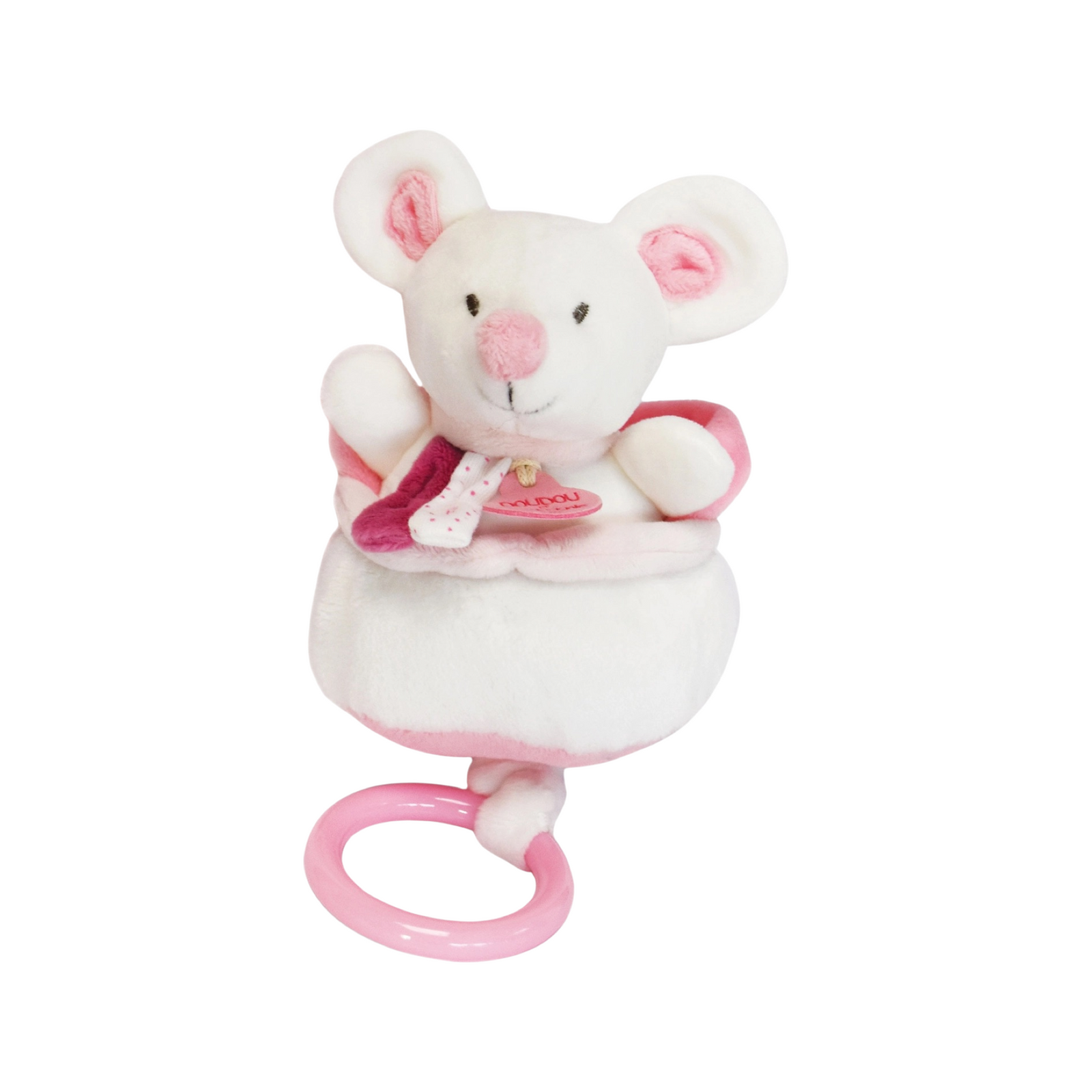Musical Pull Toy