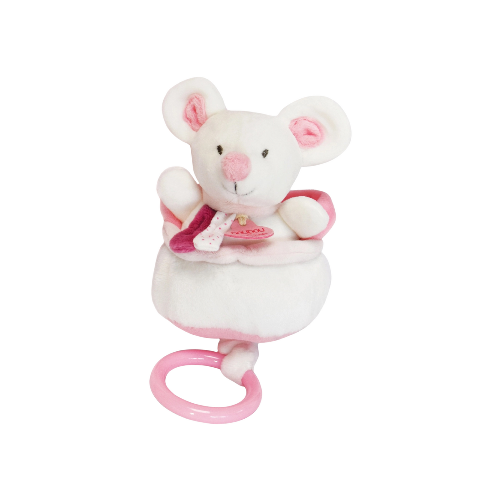 Musical Pull Toy