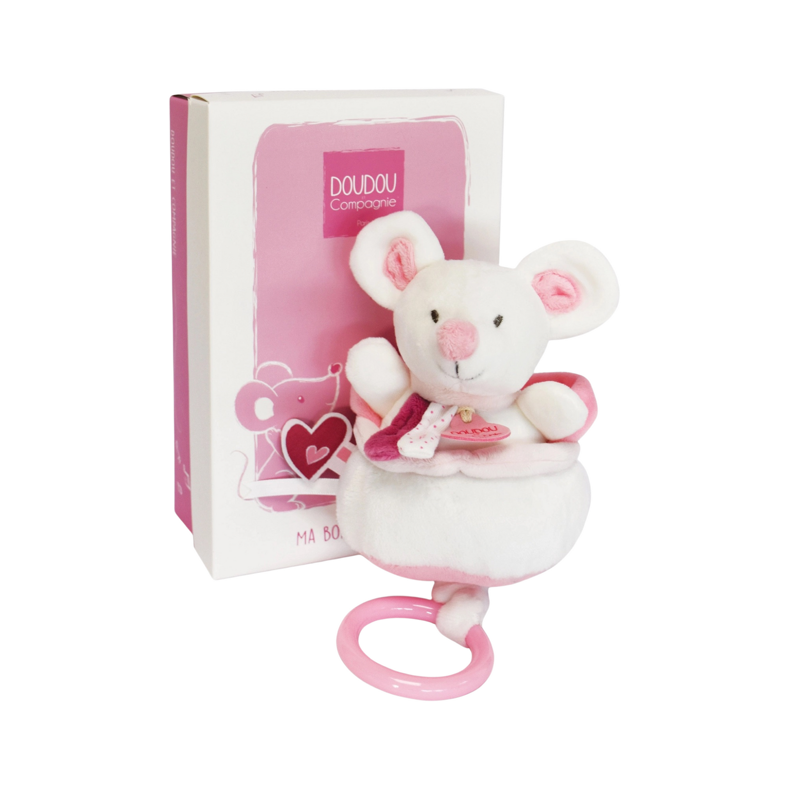 Musical Pull Toy