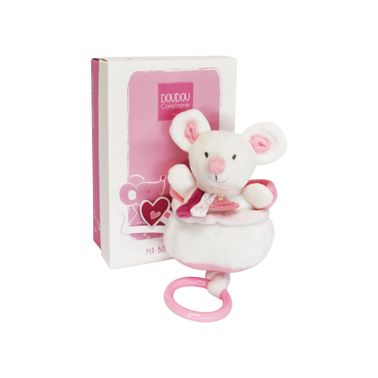 Musical Pull Toy