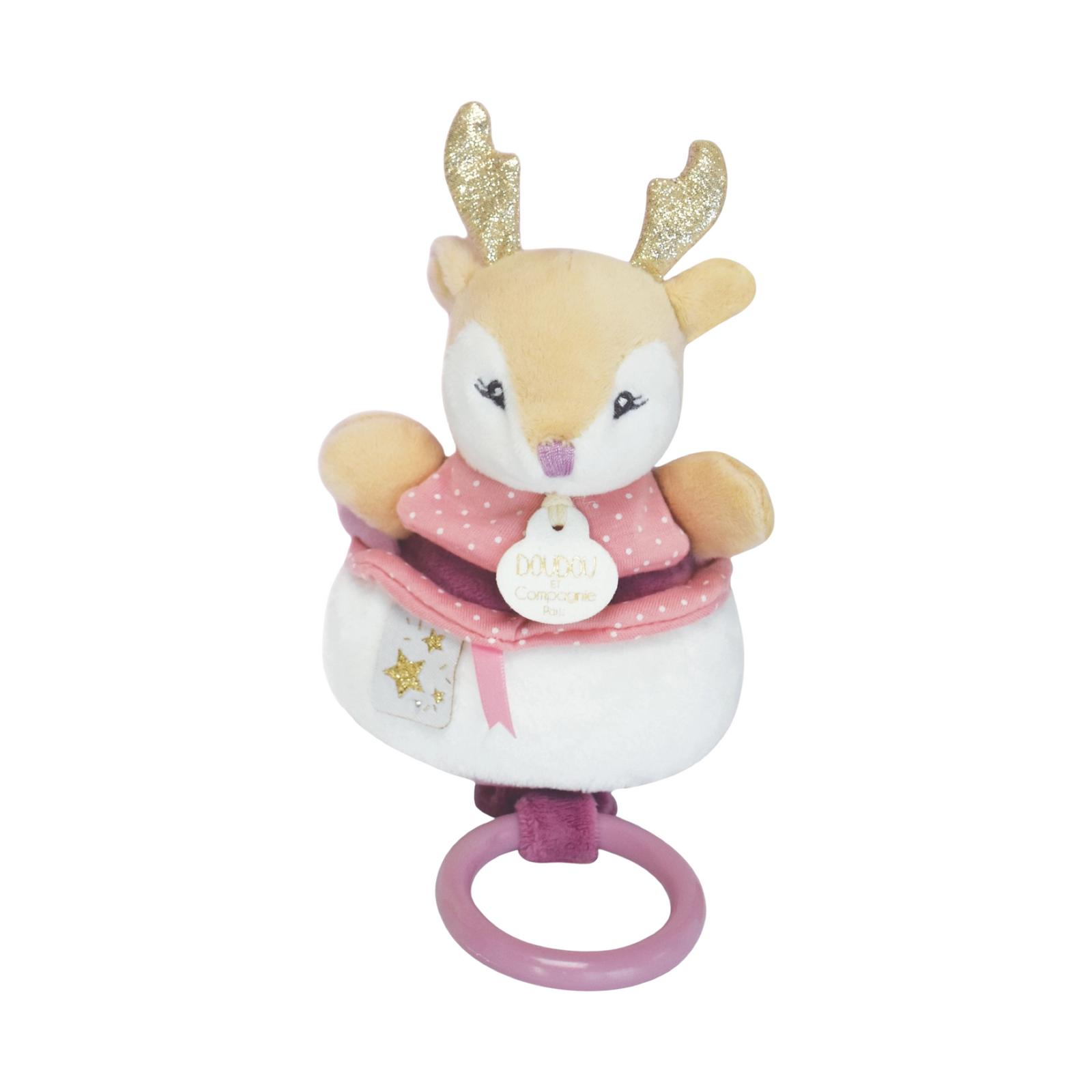 Musical Pull Toy
