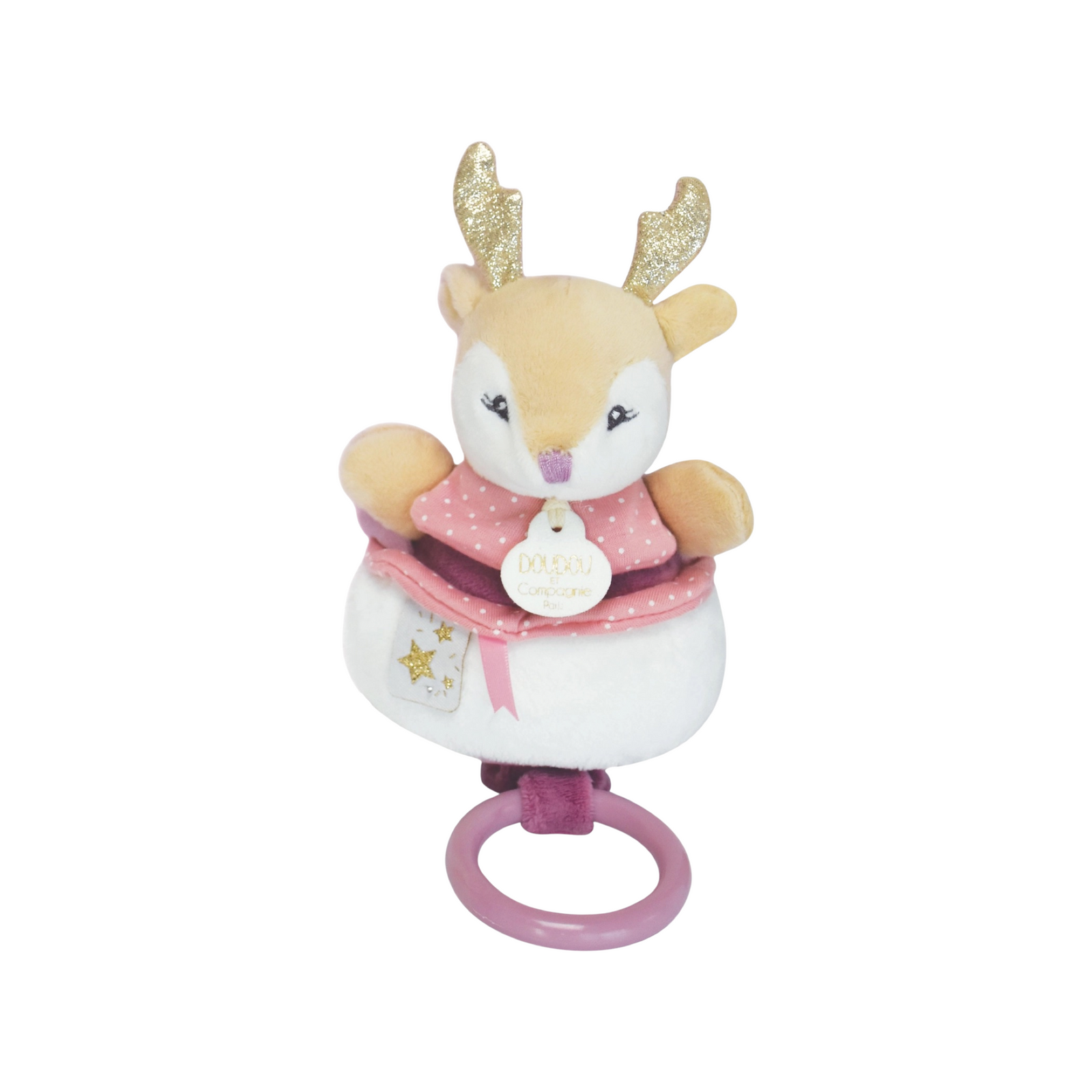 Musical Pull Toy