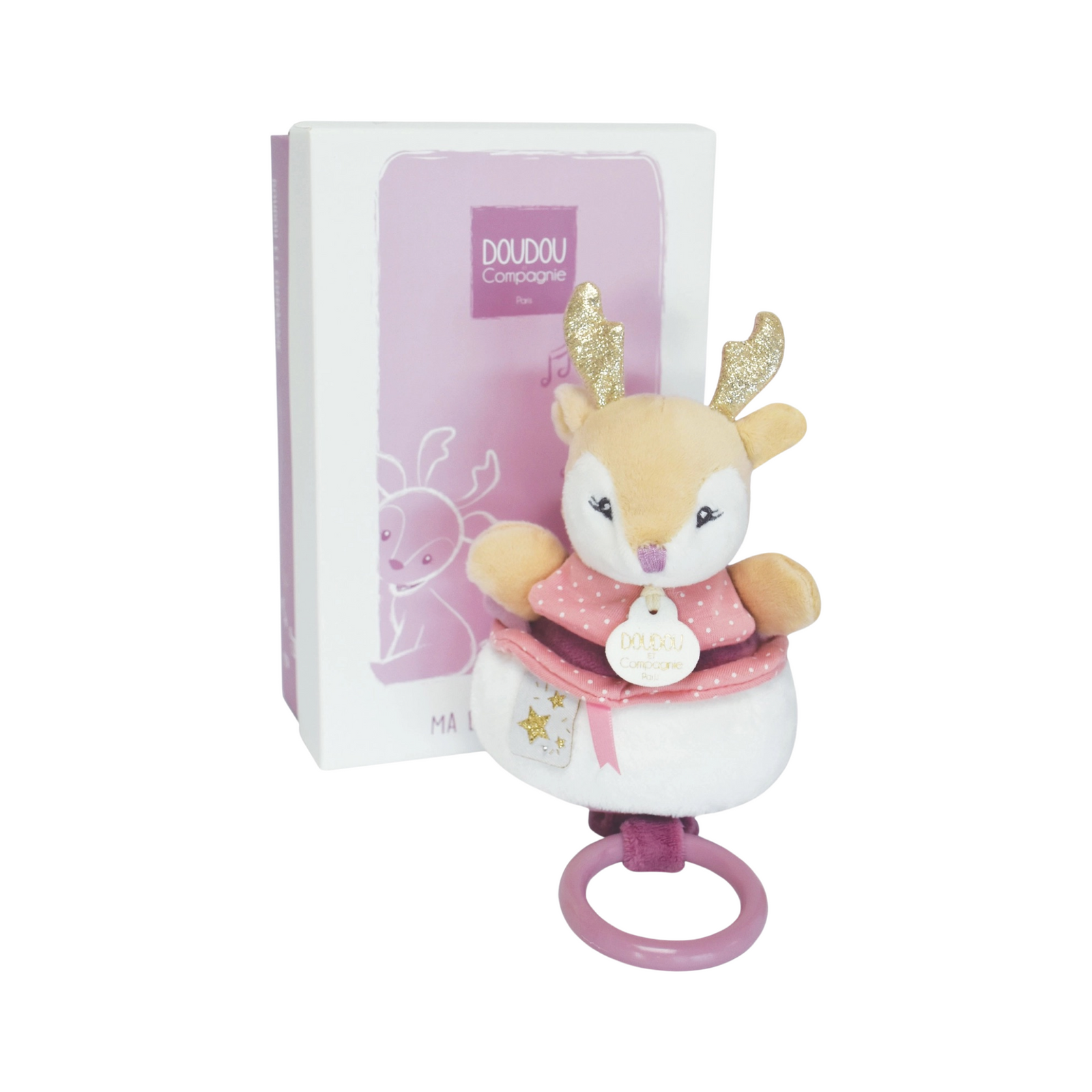 Musical Pull Toy