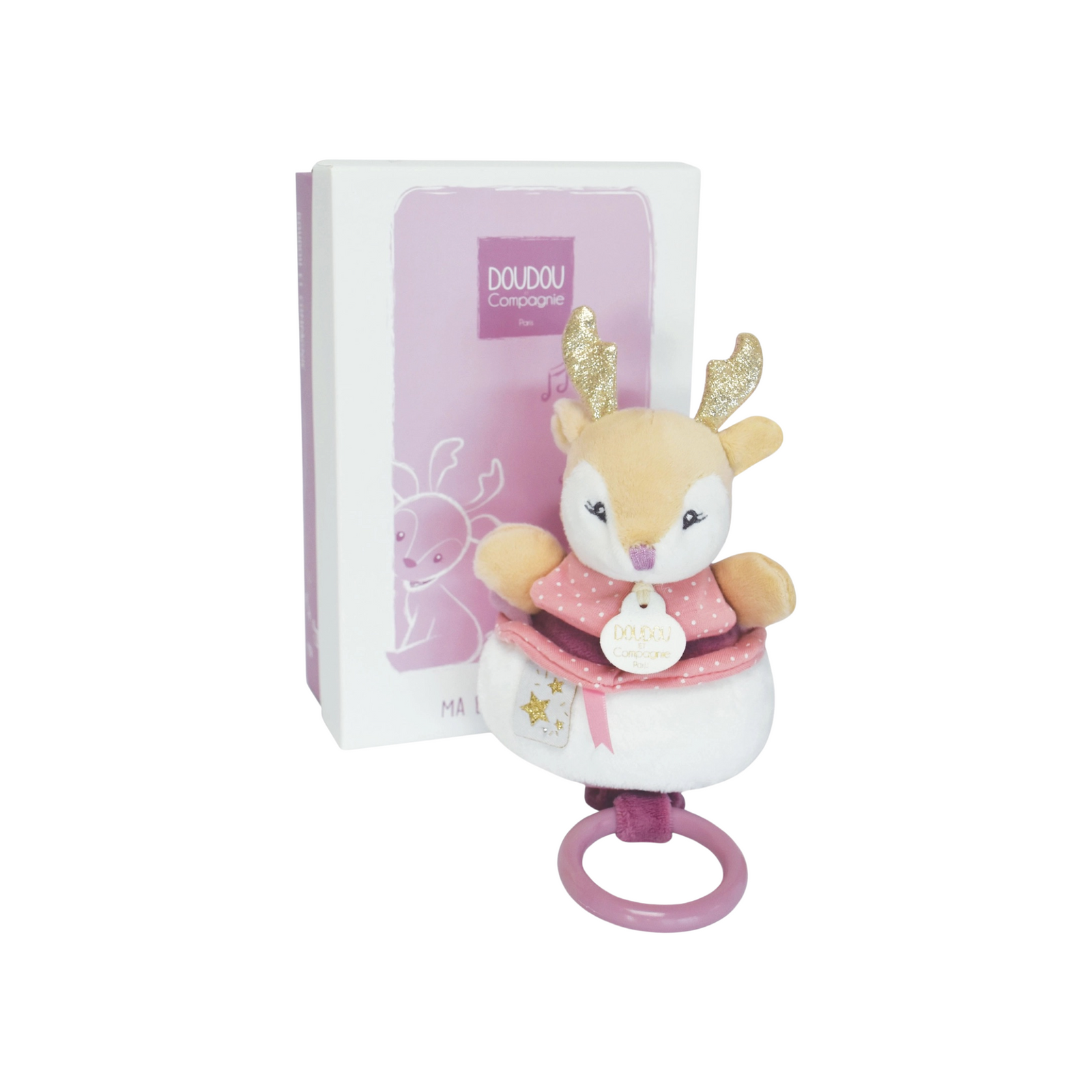 Musical Pull Toy