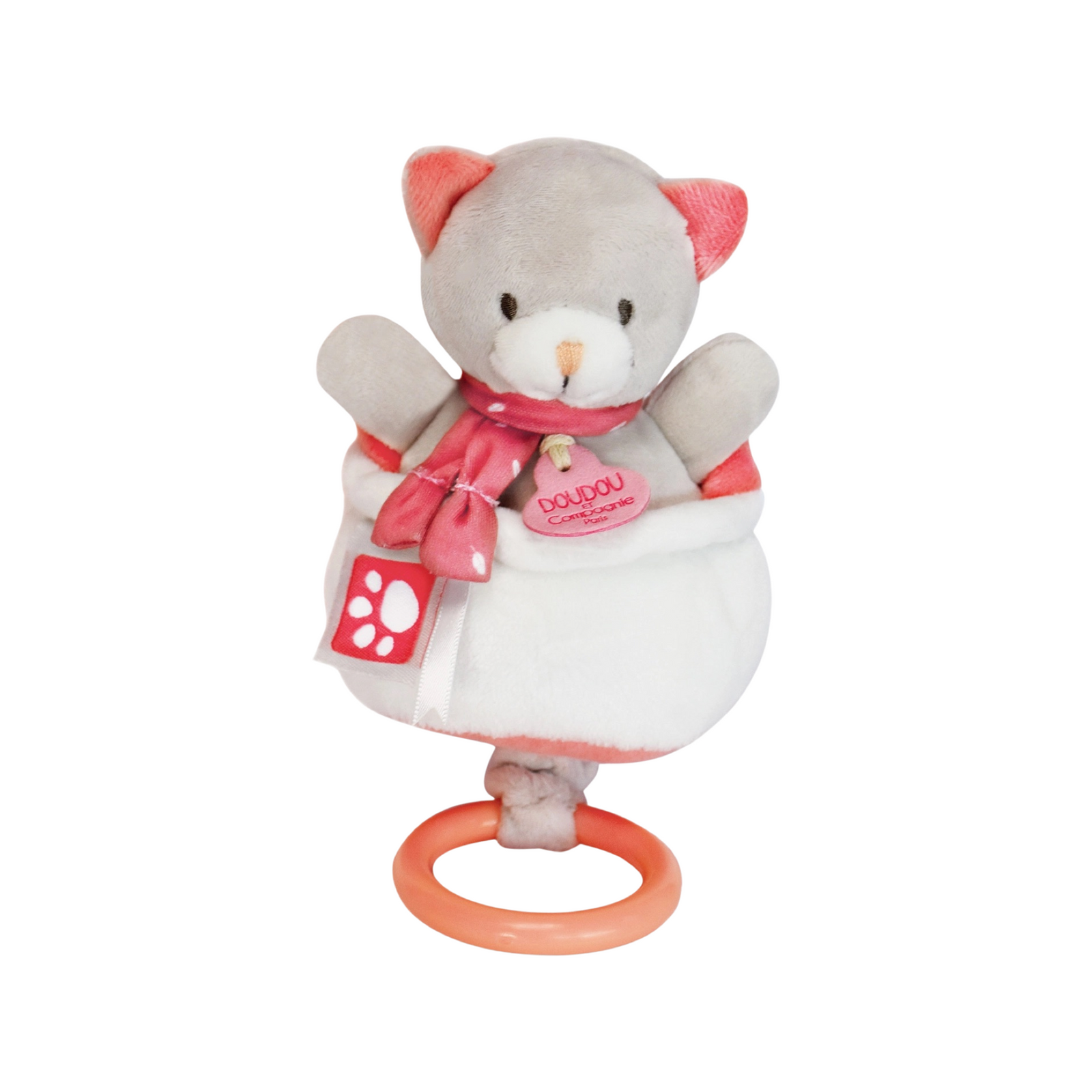Musical Pull Toy