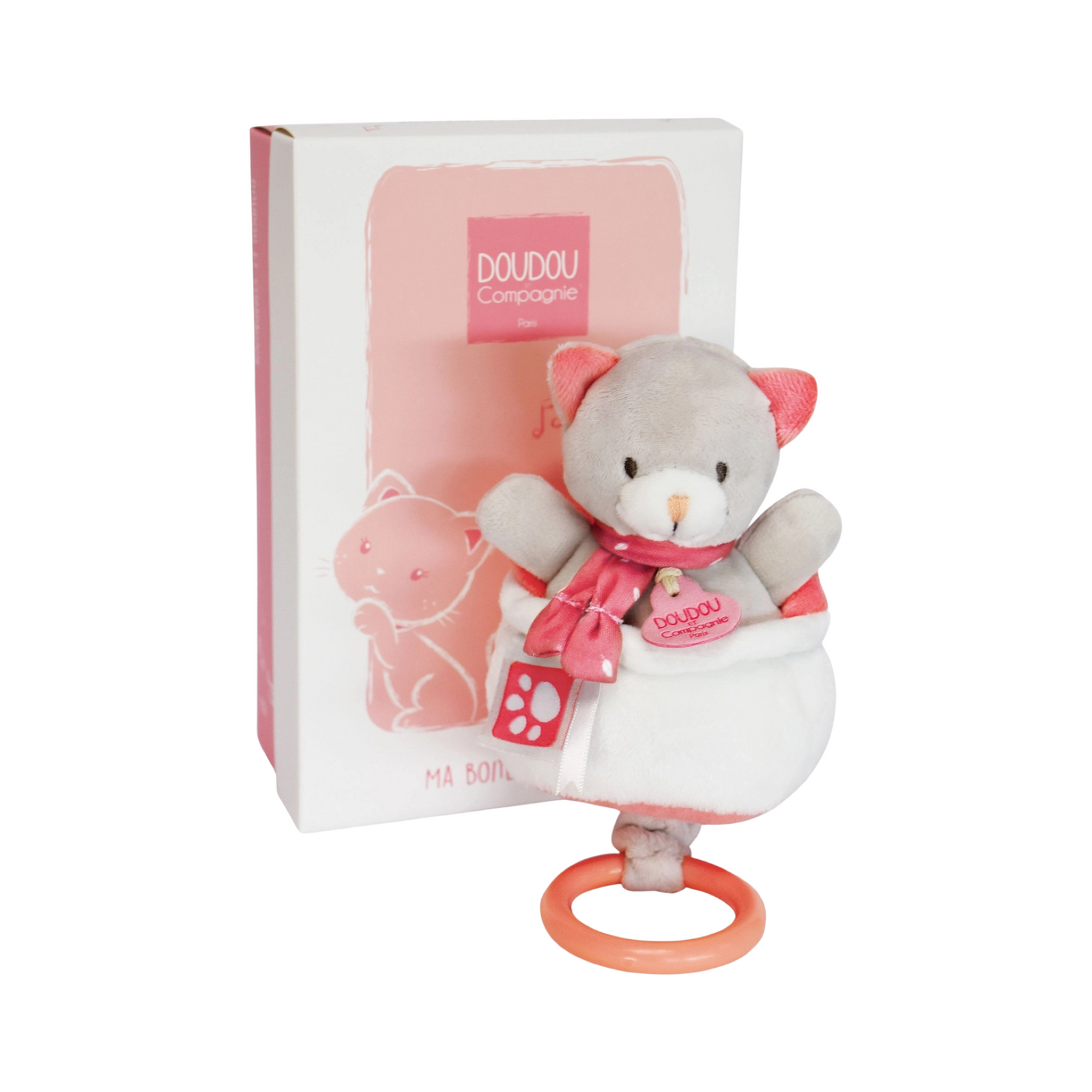 Musical Pull Toy