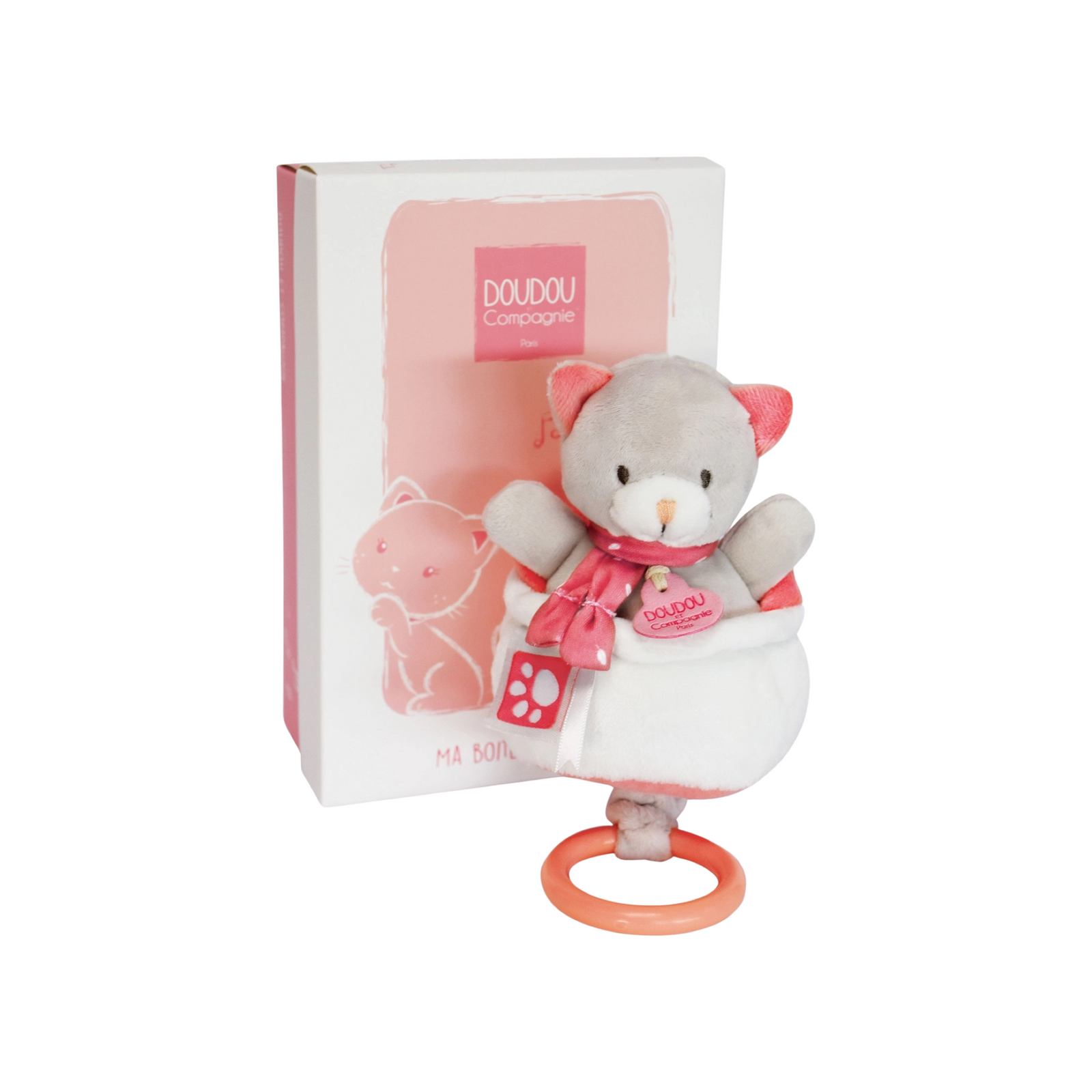 Musical Pull Toy