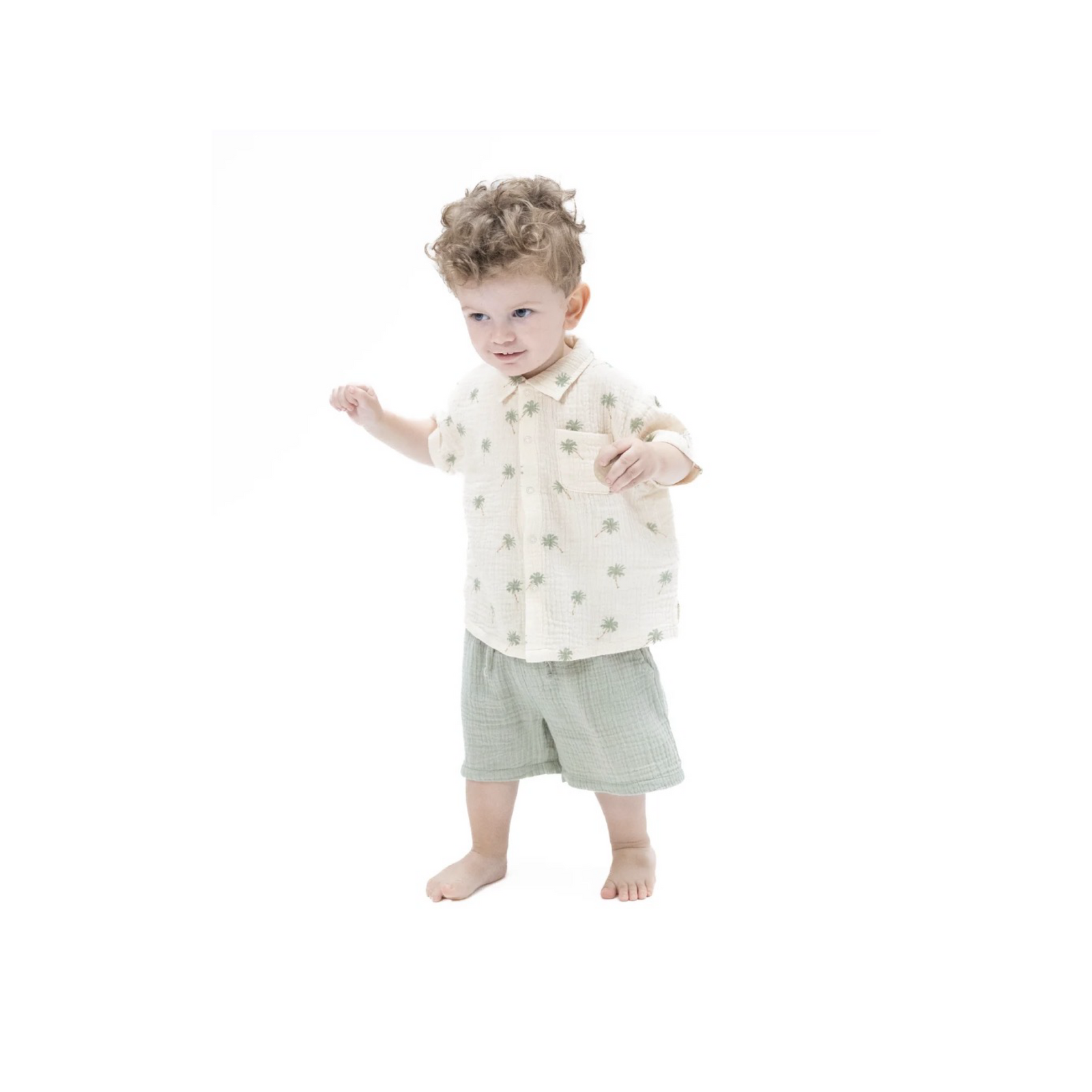 Palm Trees Button Up Shirt W/Casual Short