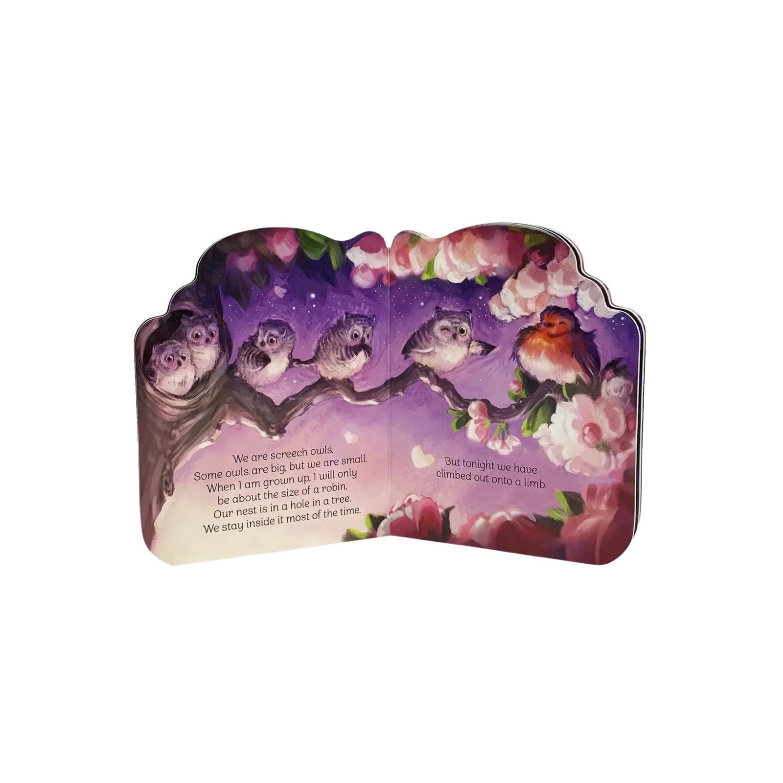 Little Owl Board Book