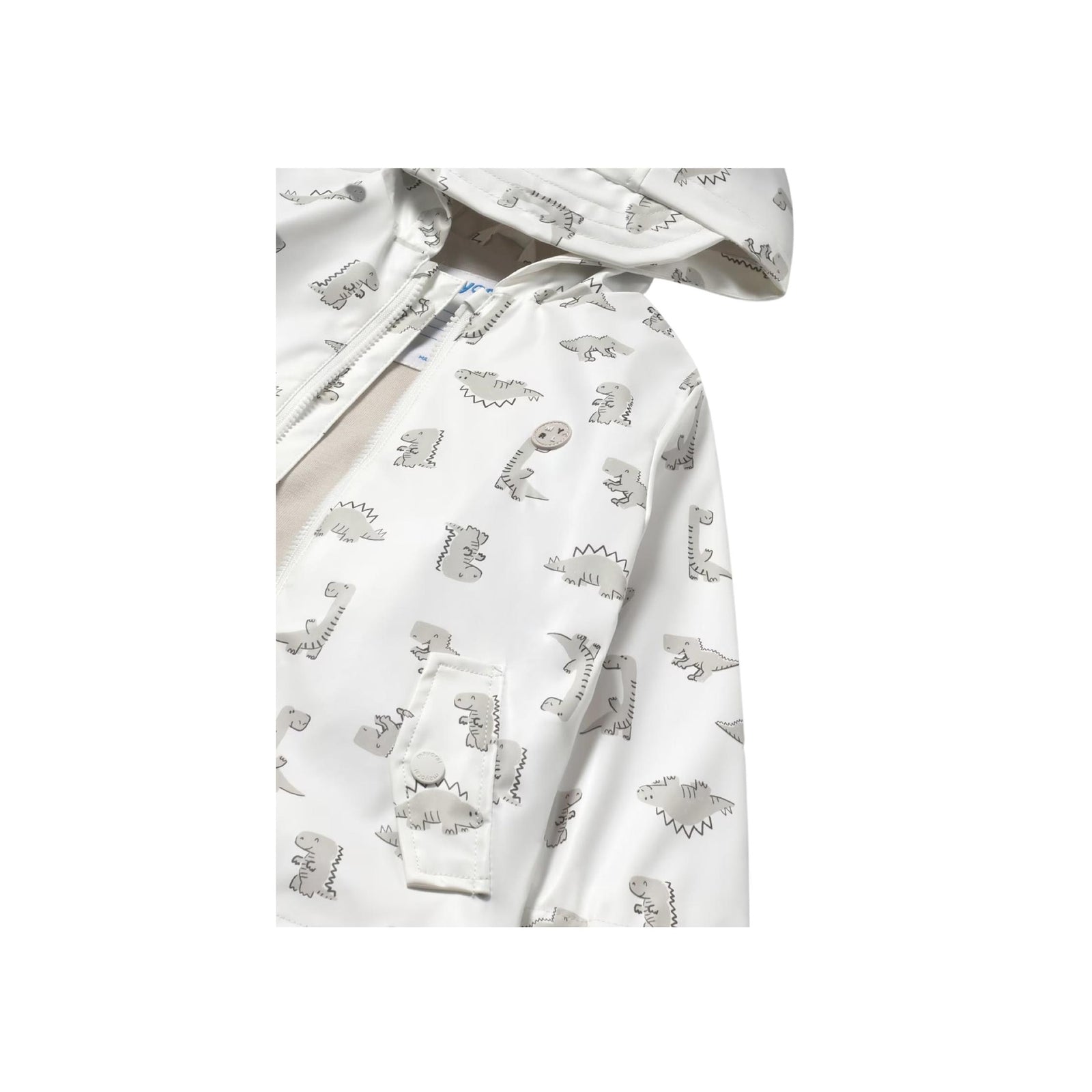 Raining Dinos’ Raincoat