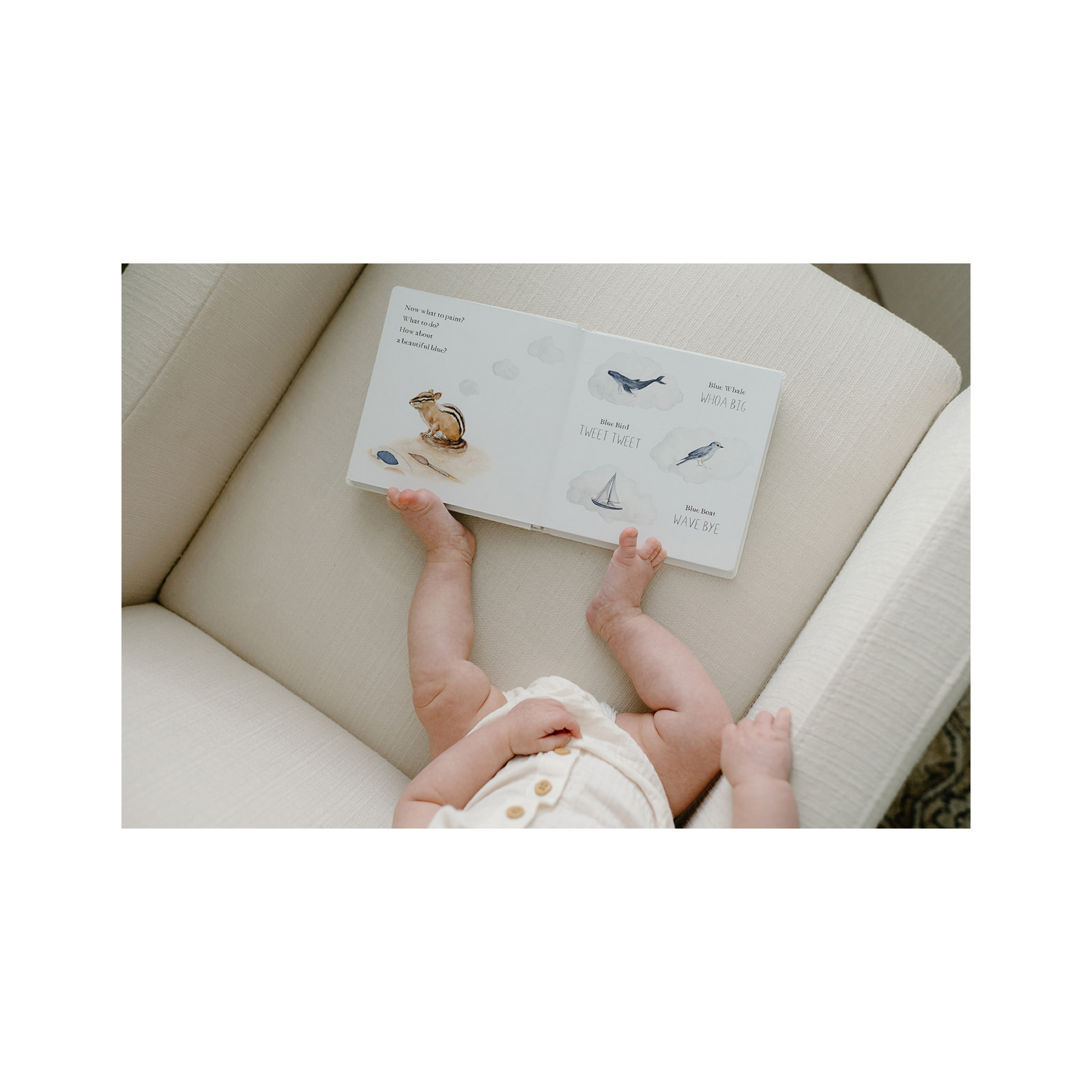 Wishy Washy: A Board Book Of First Words & Colors