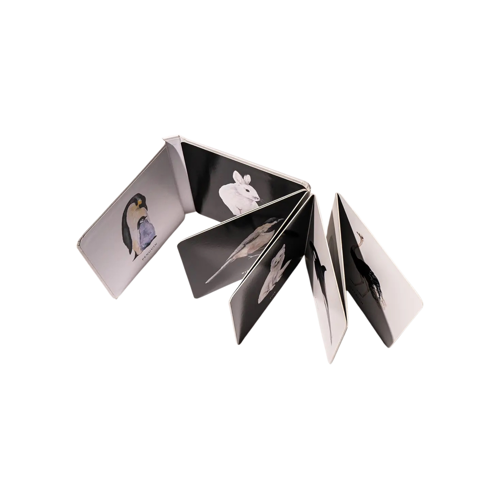 Black & White Contrast Book For Baby