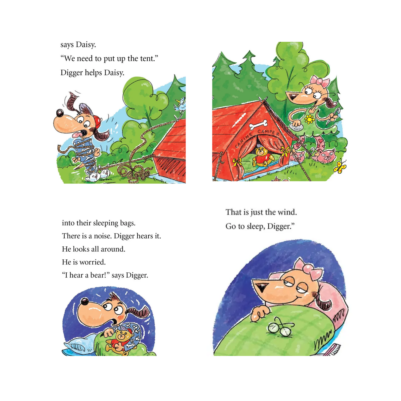 Digger And Daisy Go Camping Early Reader Book