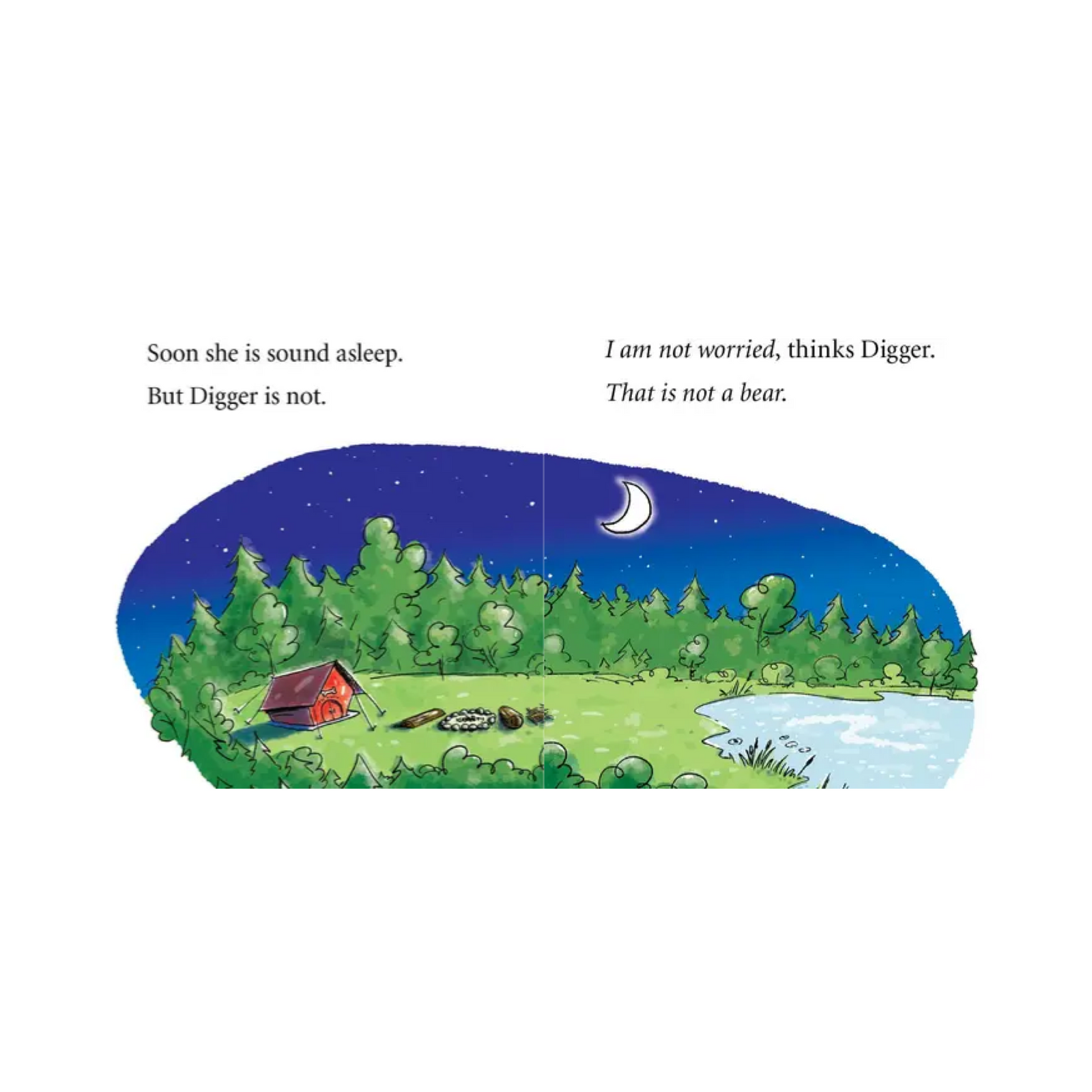 Digger And Daisy Go Camping Early Reader Book