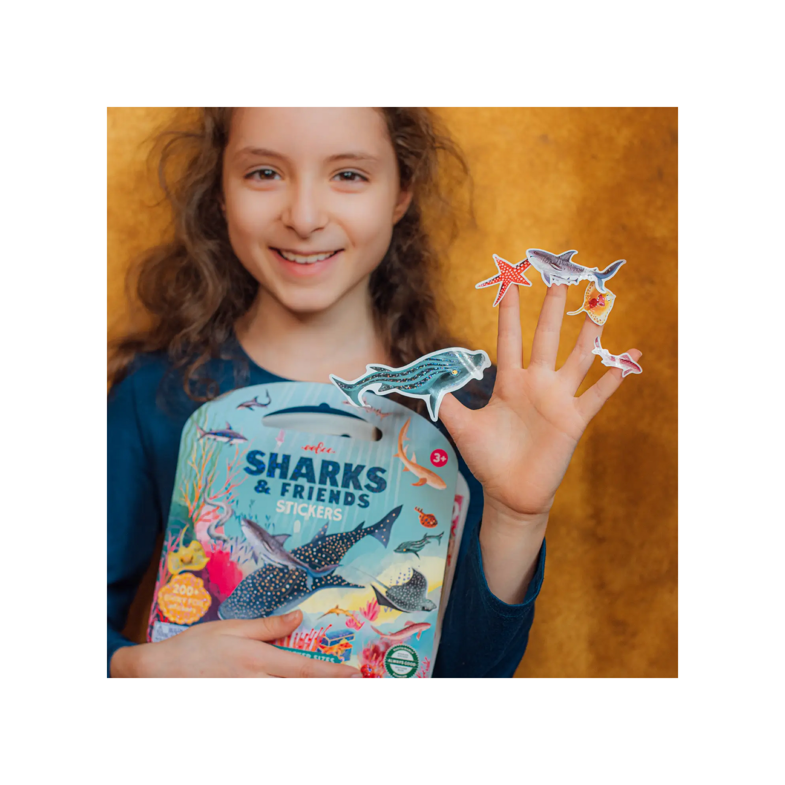 Shiny Sticker Book