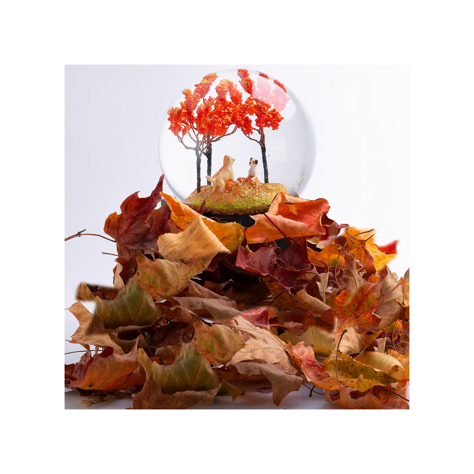 Autumn Pals Snow Globe
