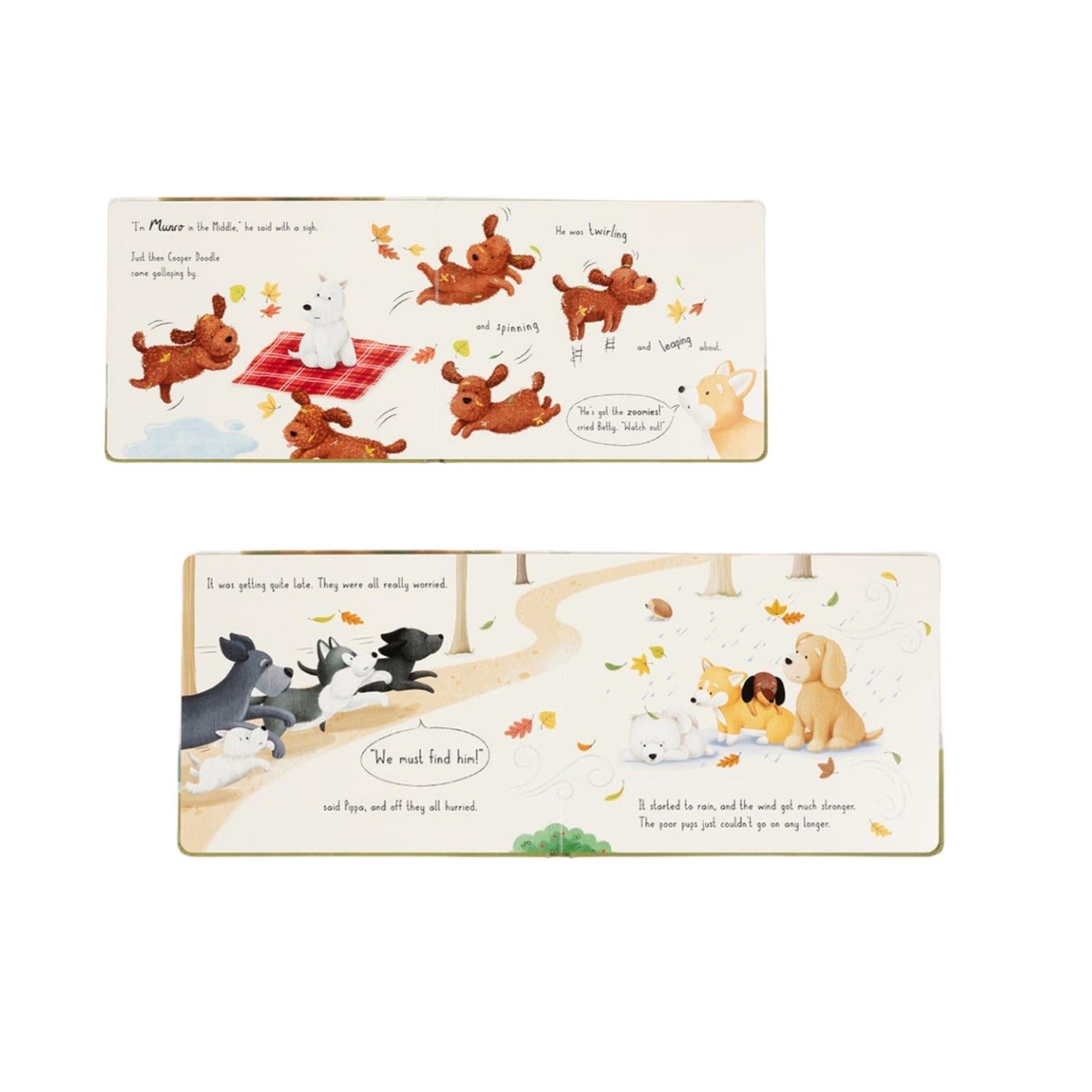 Munro in the Middle Book