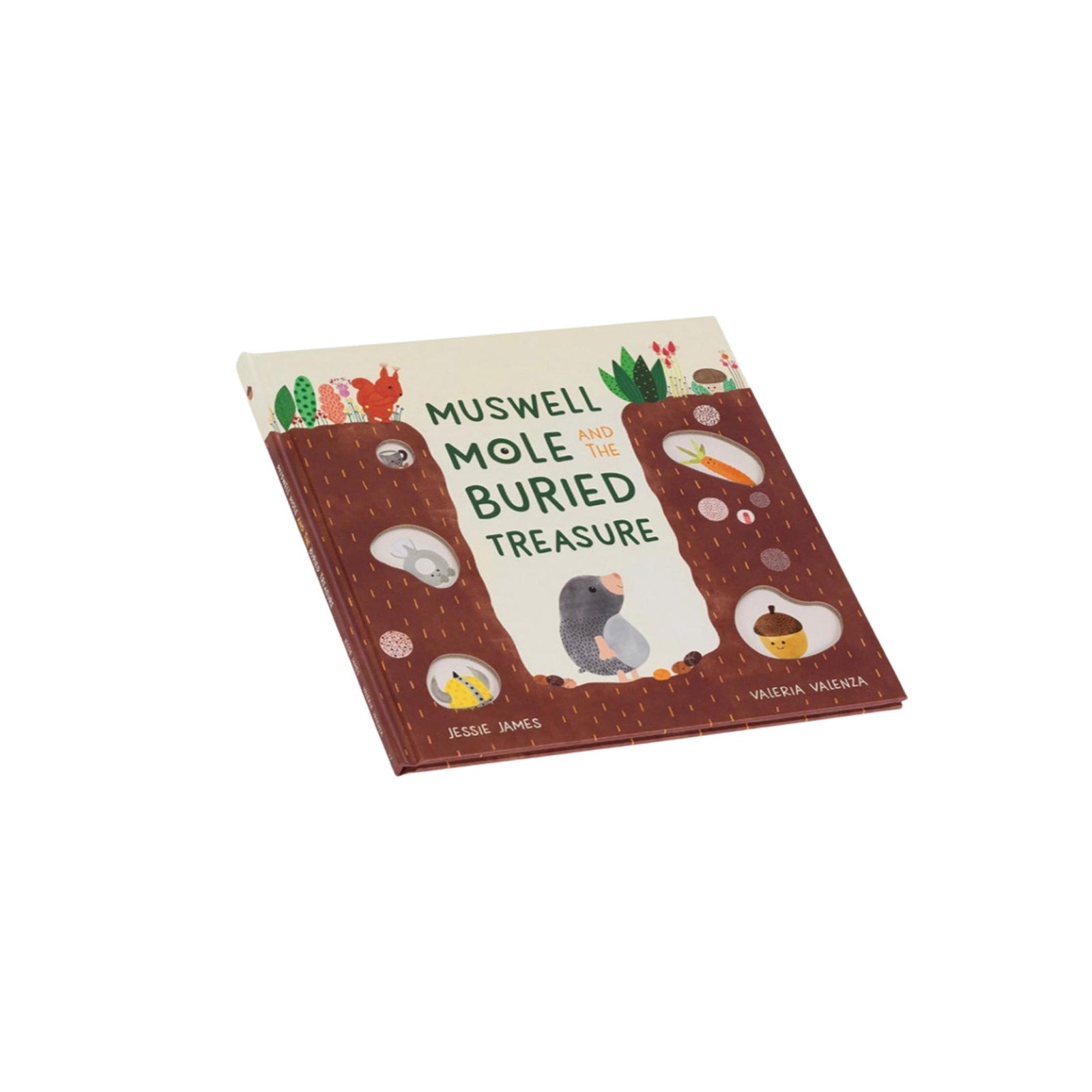 Muswell Mole and the Buried Treasure Book