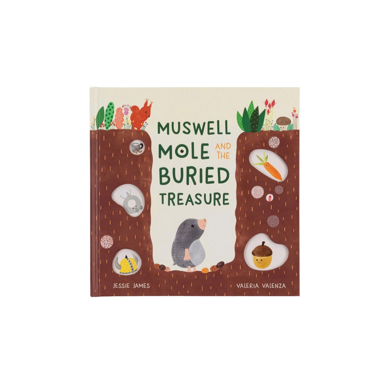 Muswell Mole and the Buried Treasure Book