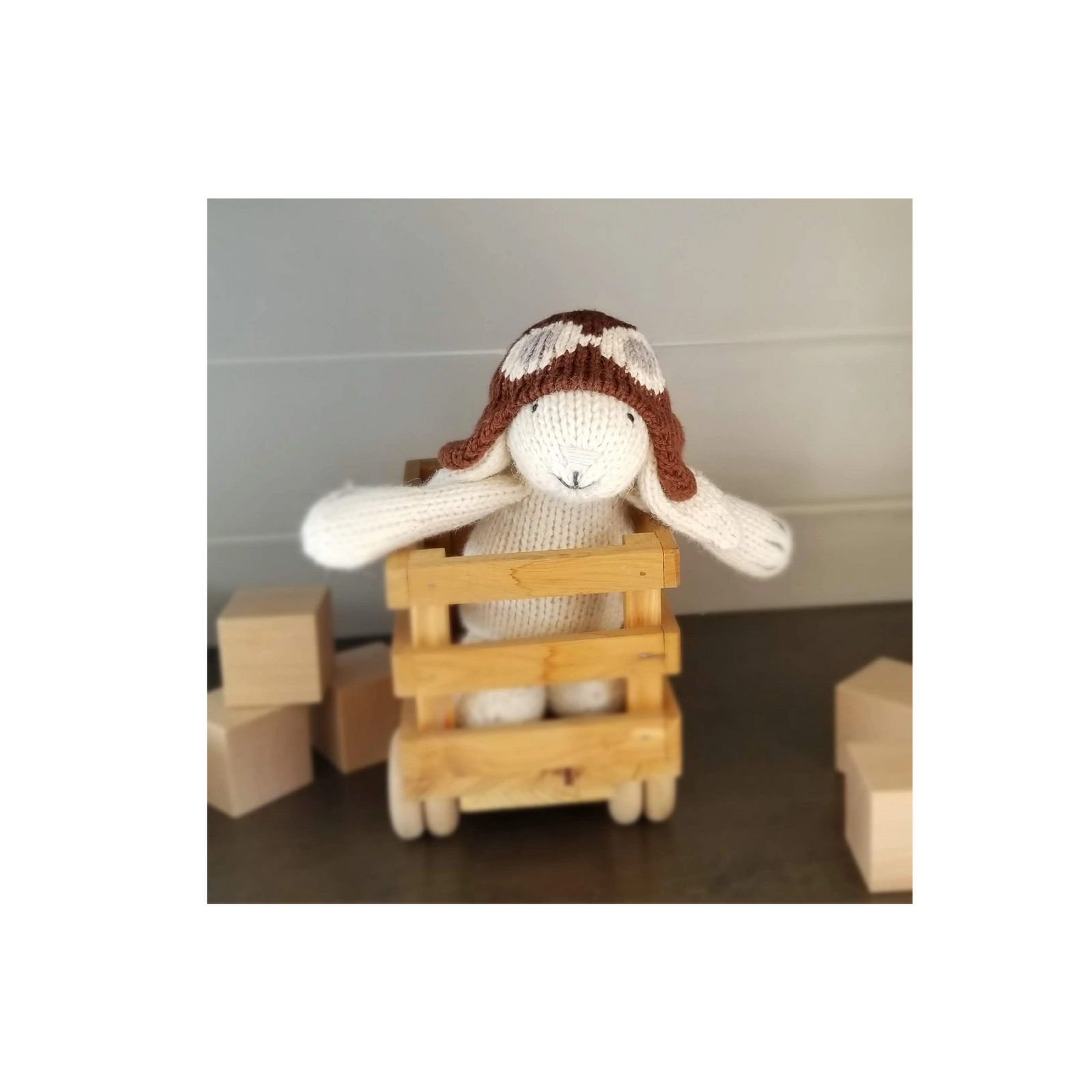 Bunny With Aviator Hat