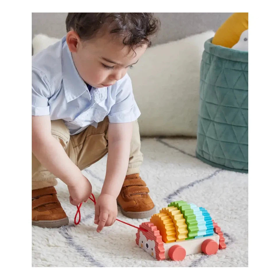 Rainbow Hedgehog Wooden Pull Toy