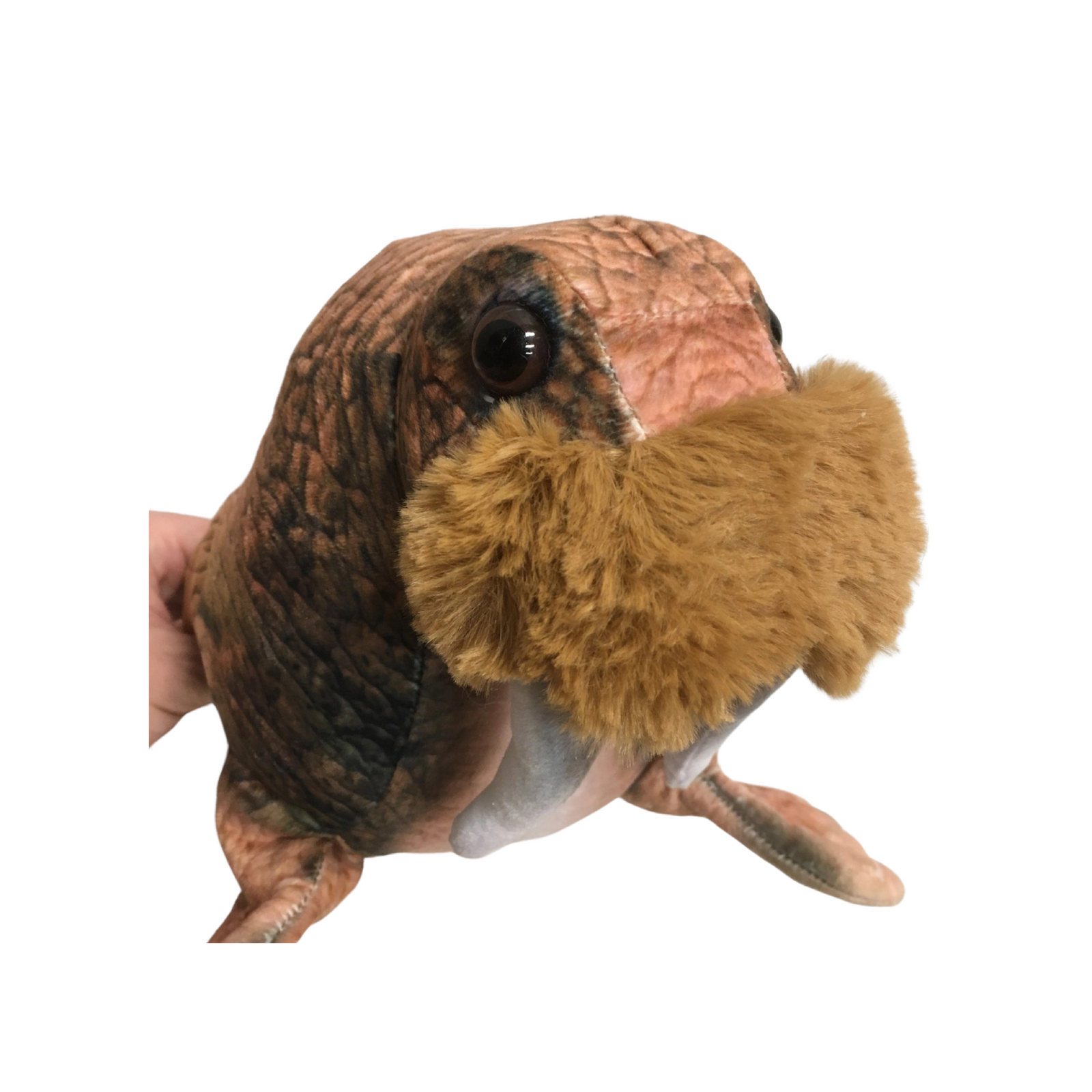 Walrus Plush