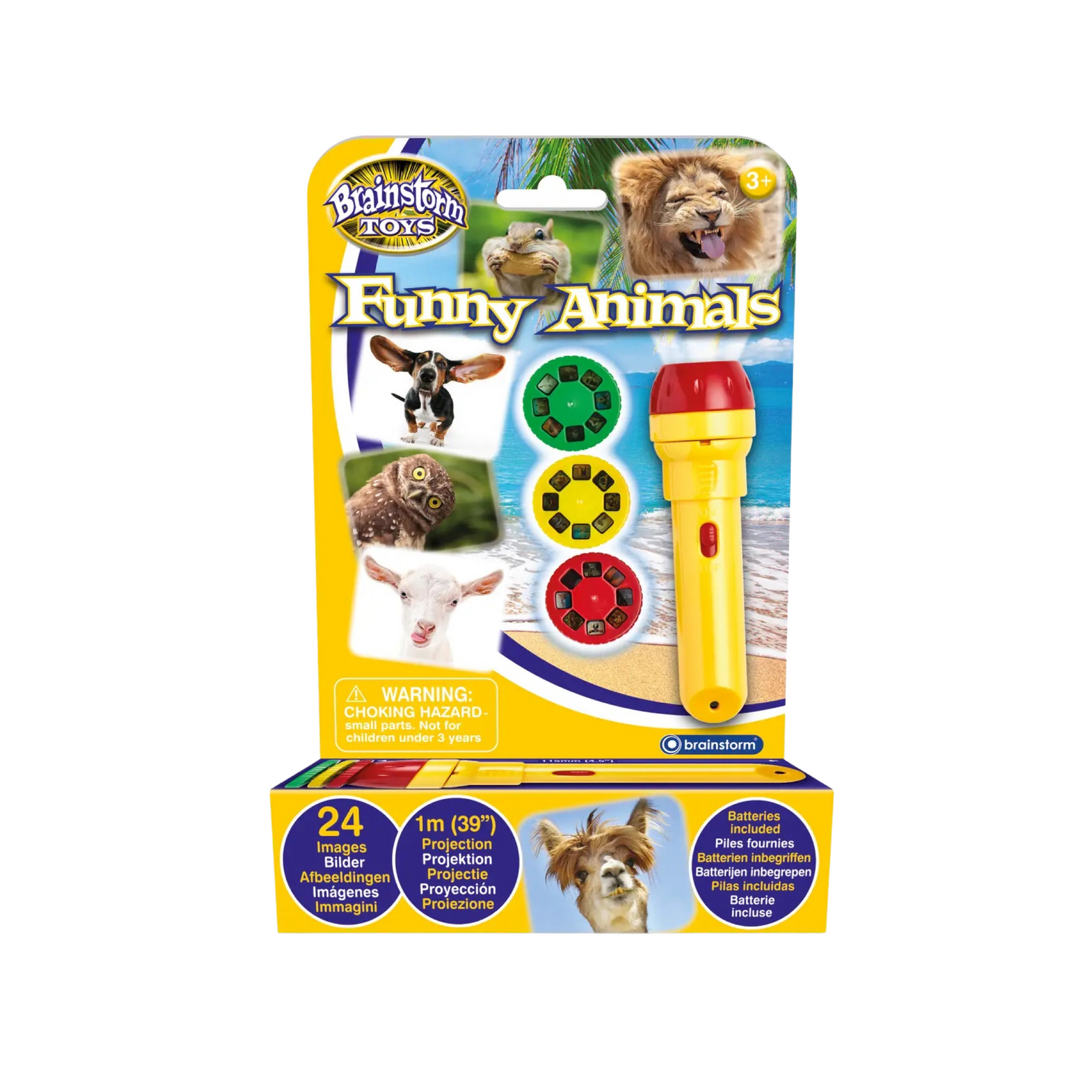 Brainstorm Torch & Projector