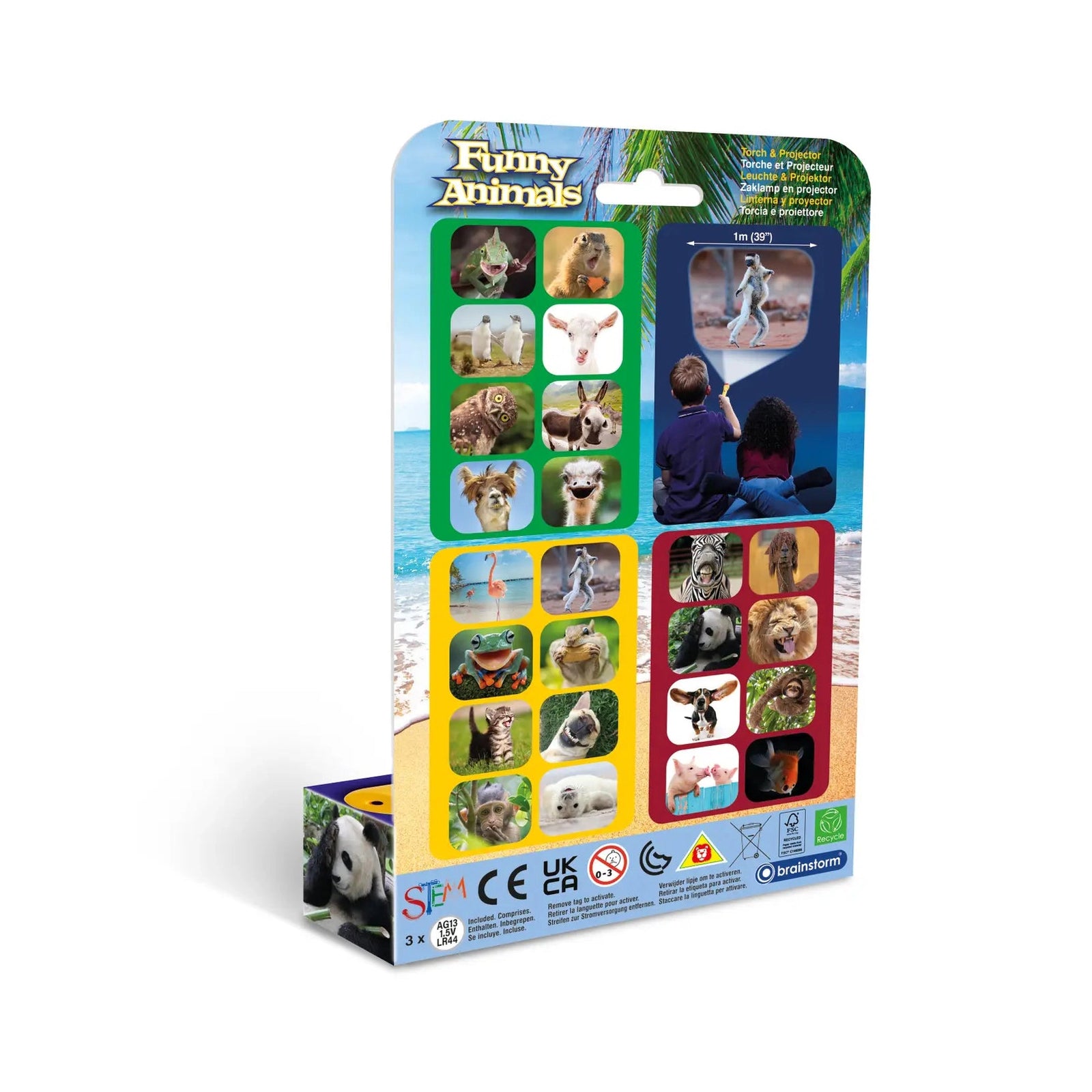 Brainstorm Torch & Projector