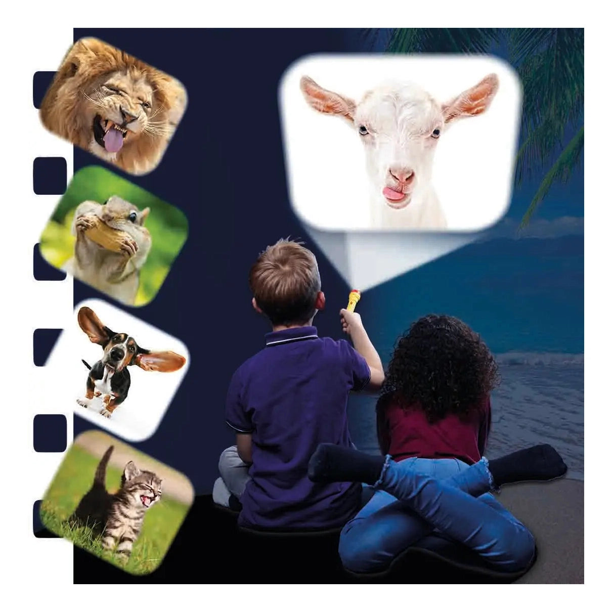 Brainstorm Torch & Projector