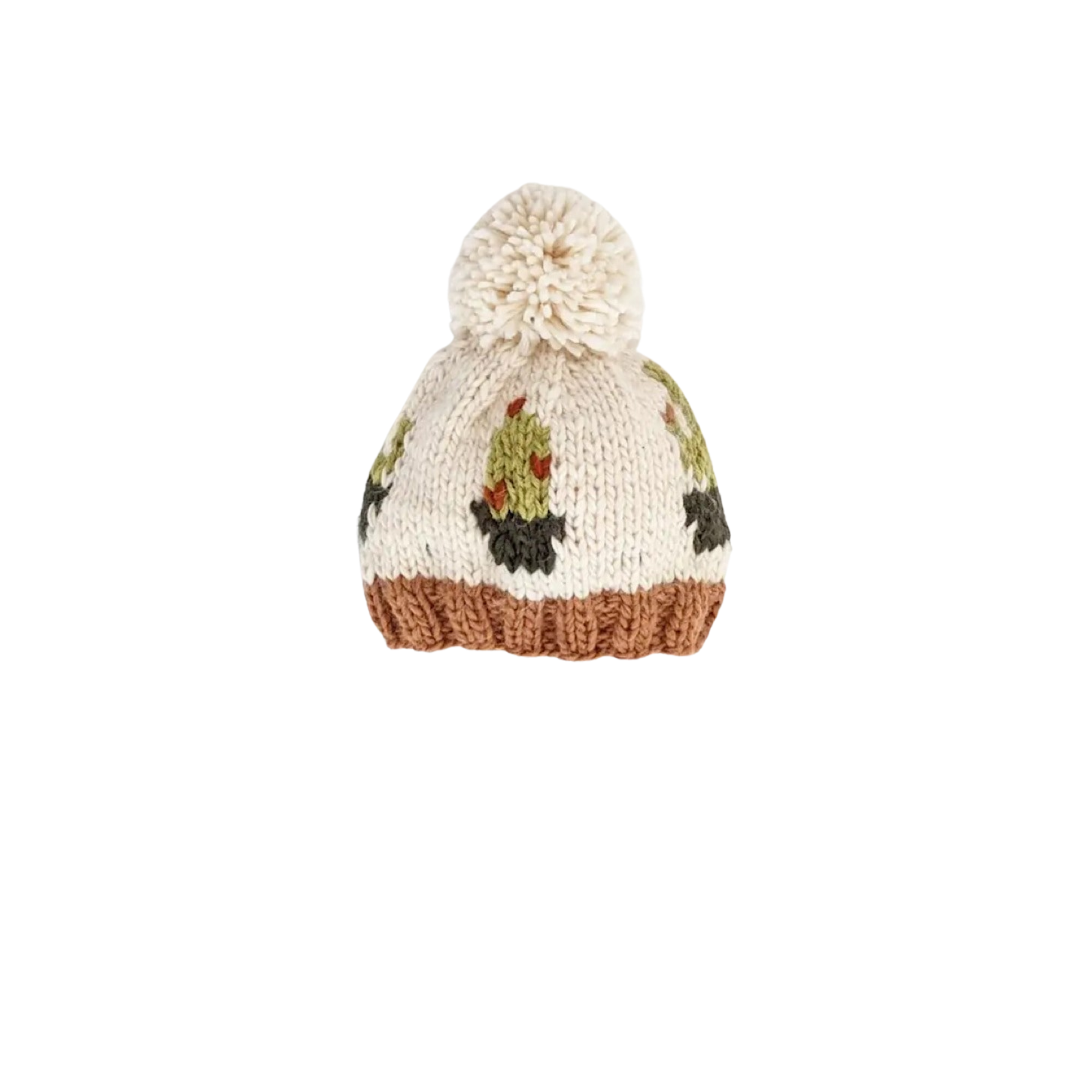 Cactus Knit Pom Beanie Hat