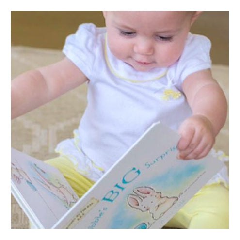 Nibble's Big Surprise Book