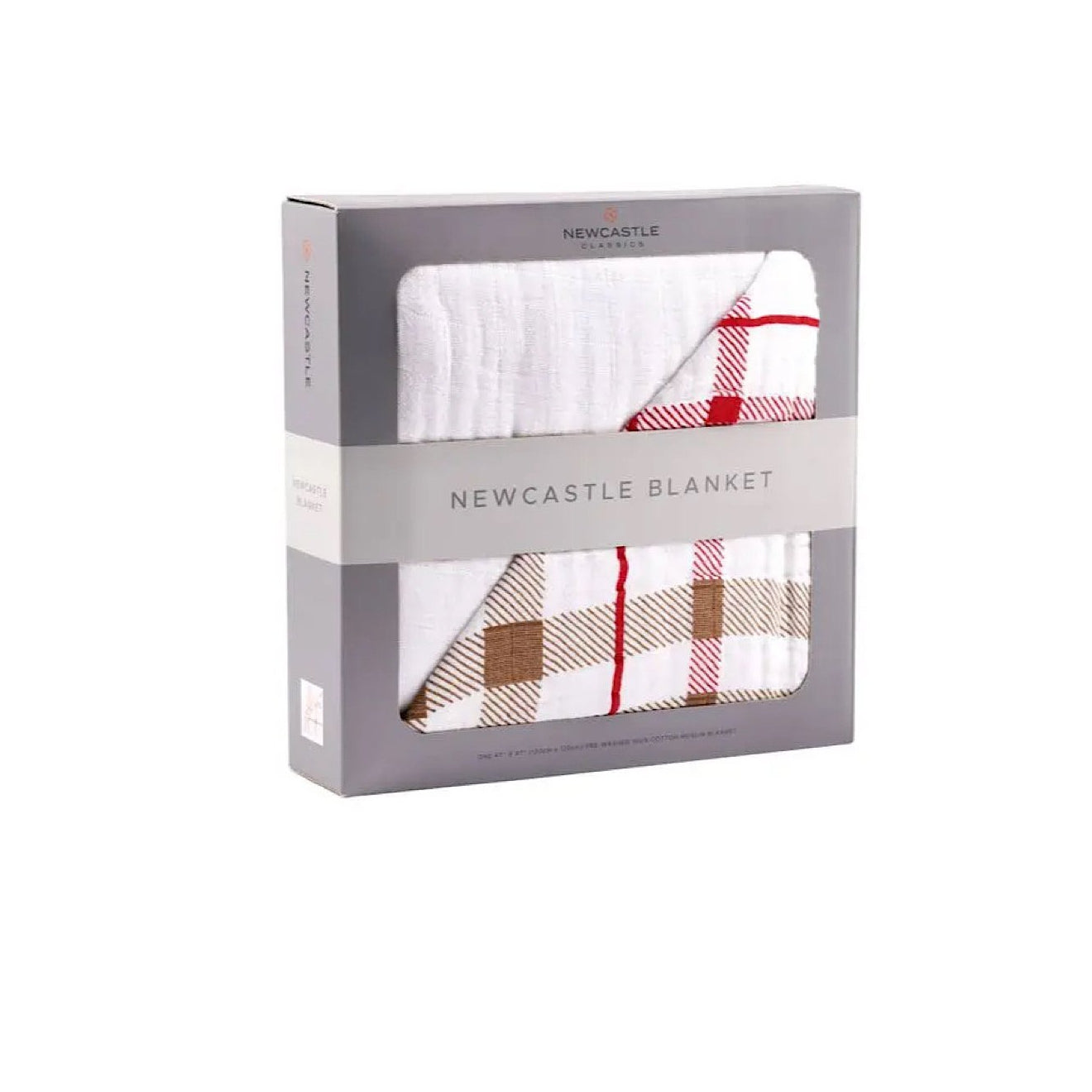 Teddy Bear + Plaid Blanket