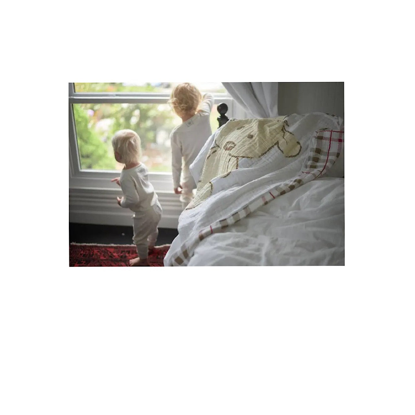 Teddy Bear + Plaid Blanket