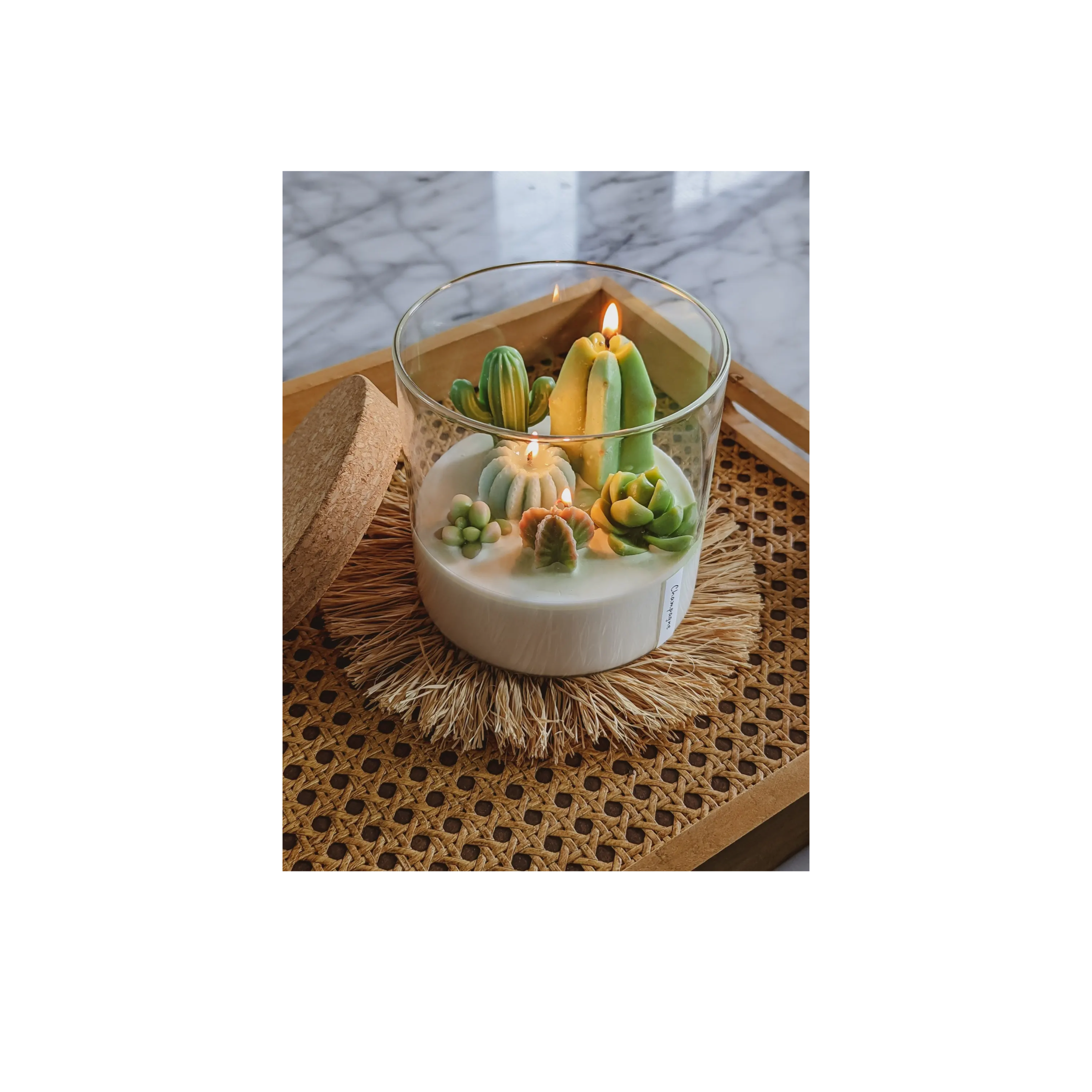succulent terrarium candle 3-Wick Soy Cacti & Succulent Terrarium Candle